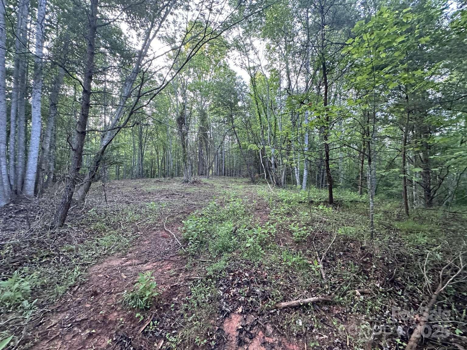 2320 Howard Arnett Road Property Photo 11