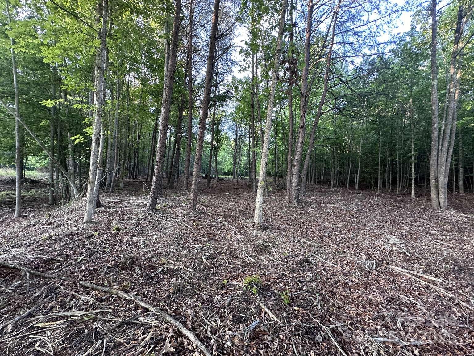 2320 Howard Arnett Road Property Photo 12