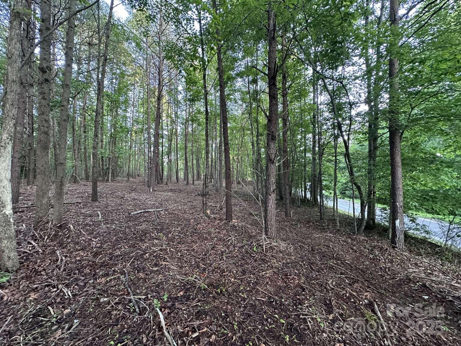 2320 Howard Arnett Road Property Photo 14