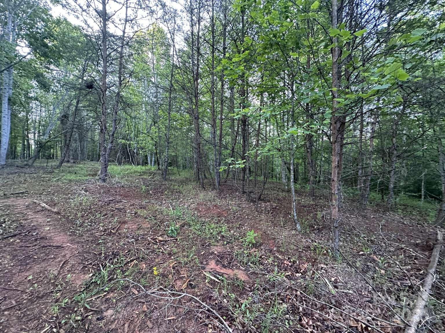 2320 Howard Arnett Road Property Photo 16