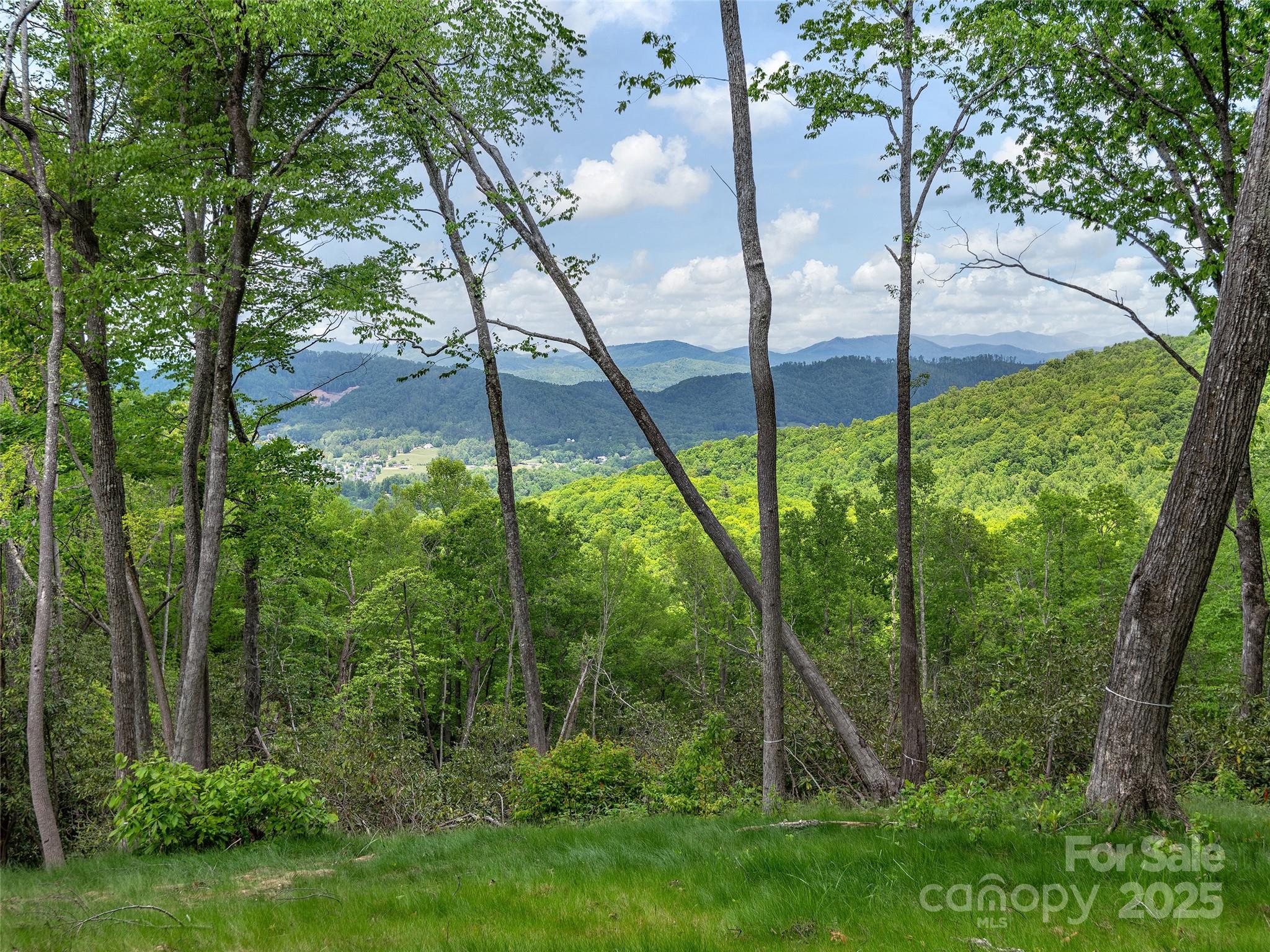 000 Hemlock Grove Trail 51 Property Photo 1