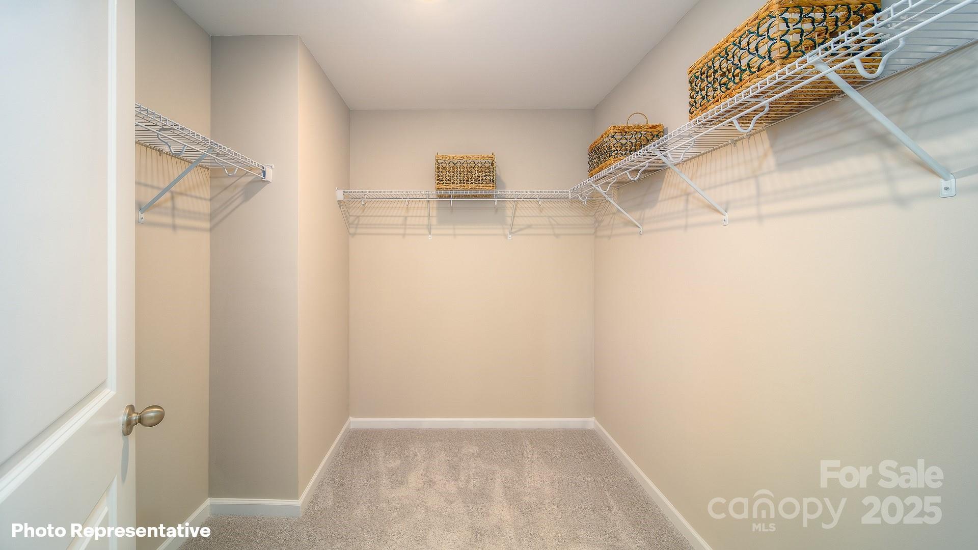 107 Asmodean Lane Property Photo 27