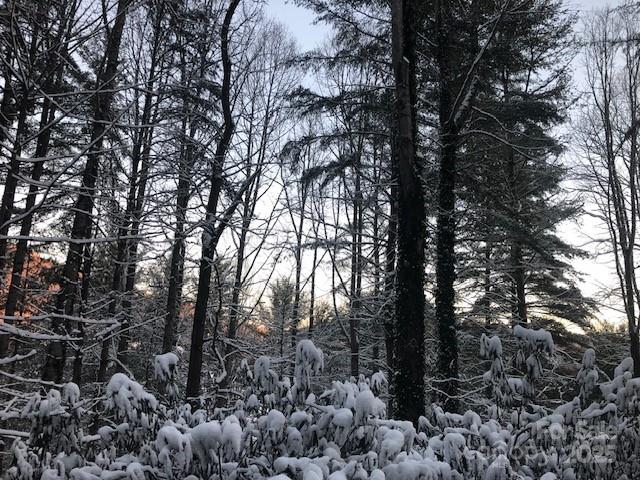 278 Mount View Drive Property Photo 44