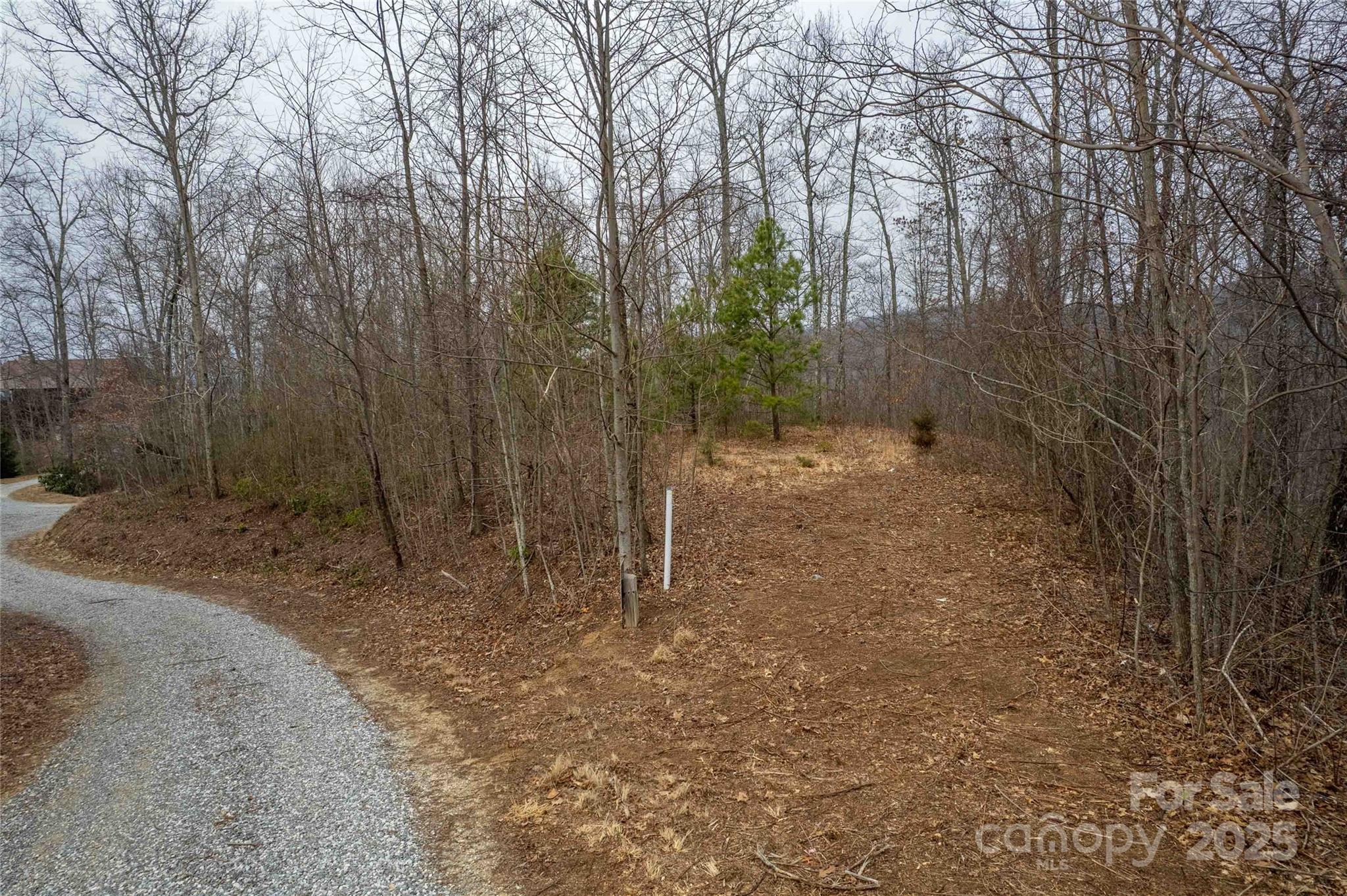 Lot 33 Alarka Highlands Road Property Photo 10