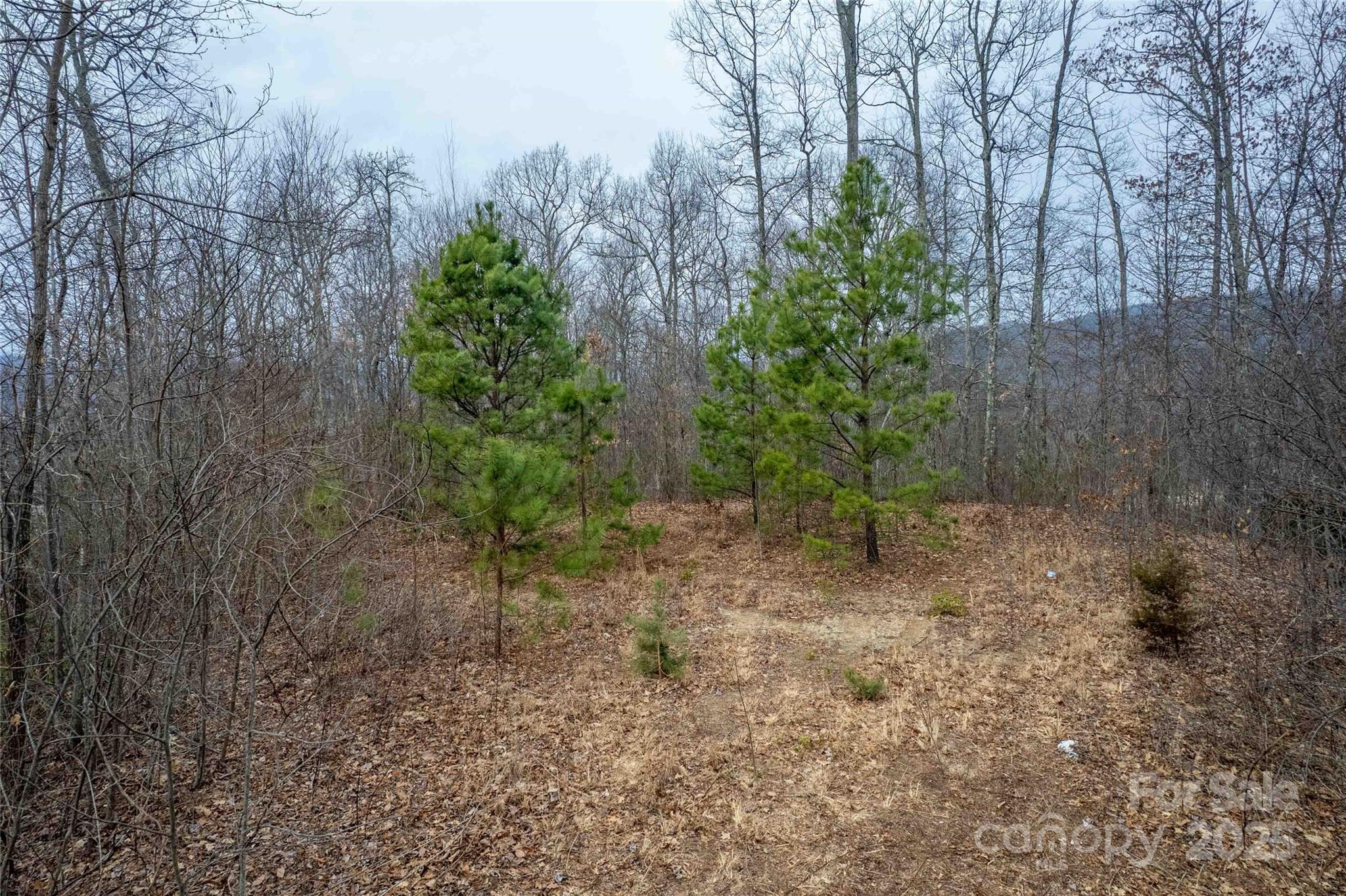 Lot 33 Alarka Highlands Road Property Photo 12