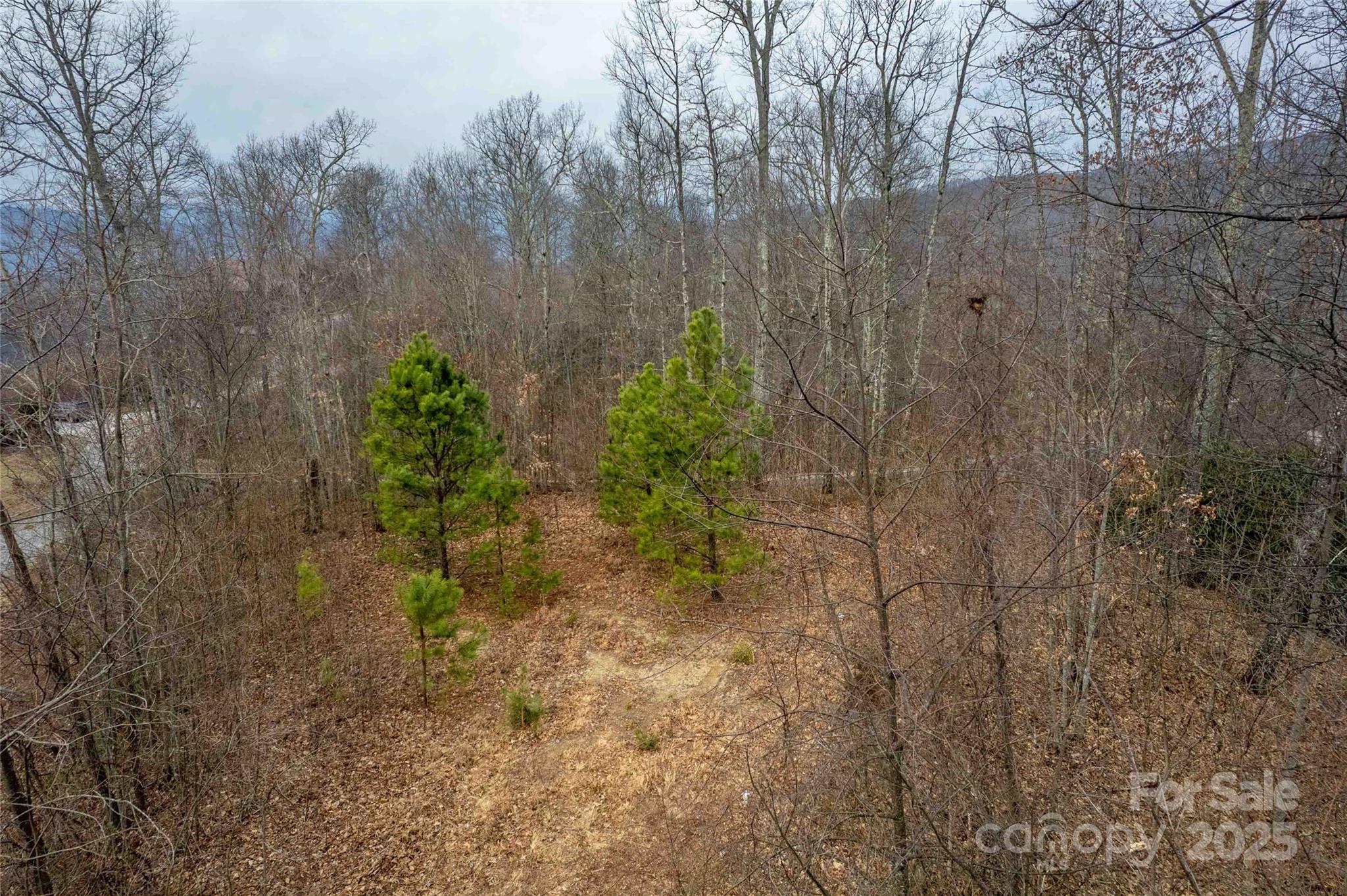 Lot 33 Alarka Highlands Road Property Photo 13