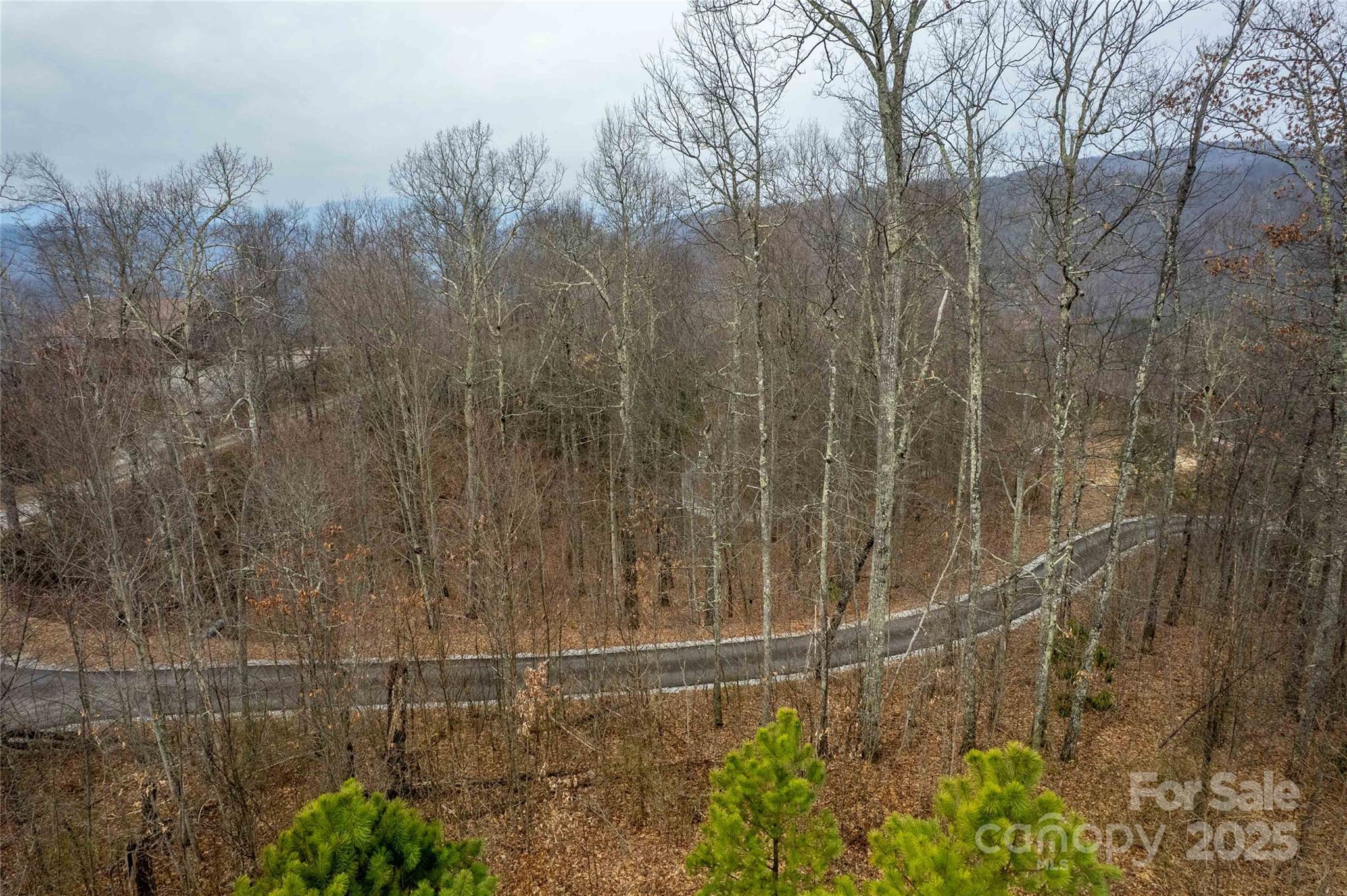 Lot 33 Alarka Highlands Road Property Photo 14