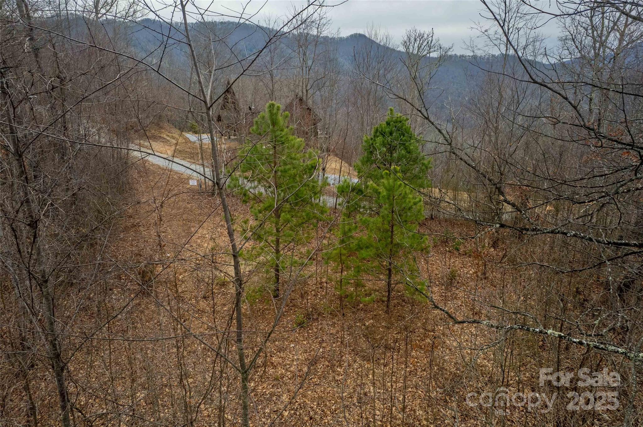 Lot 33 Alarka Highlands Road Property Photo 16