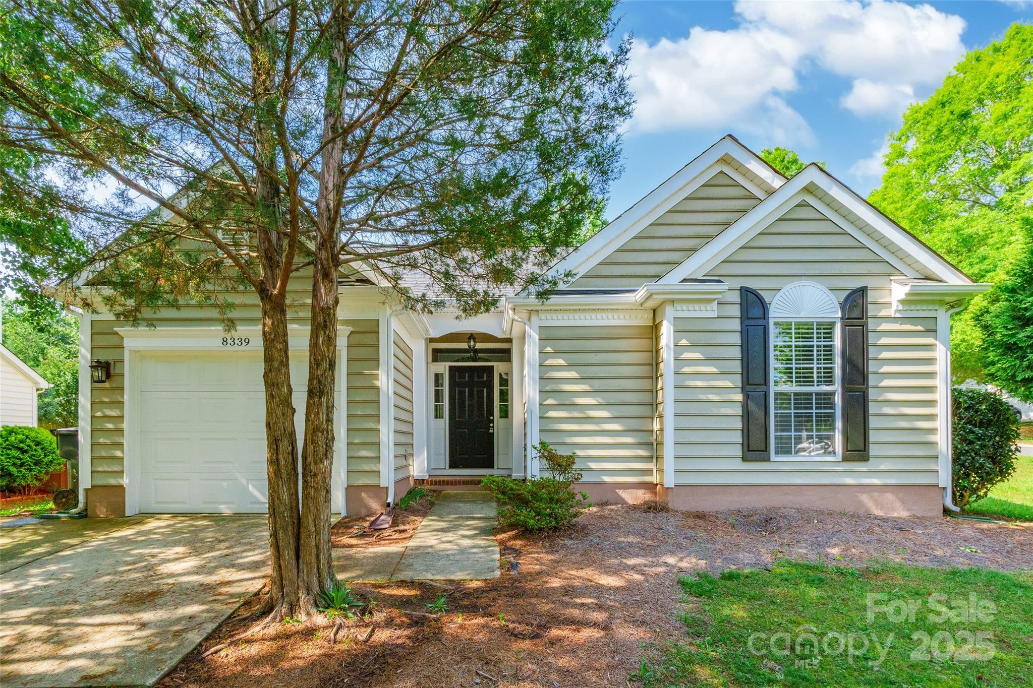 8339 Hornwood Court Property Photo 1