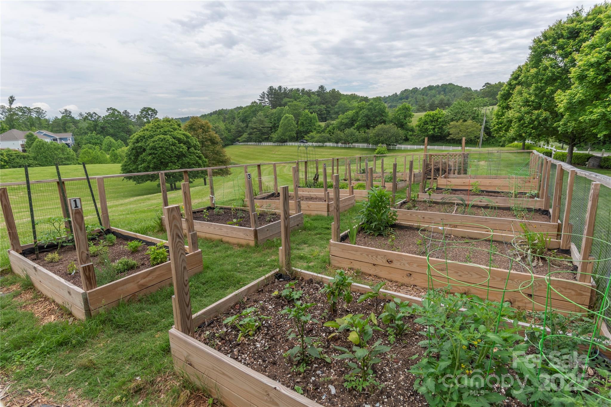 70 Rose Creek Road Property Photo 32