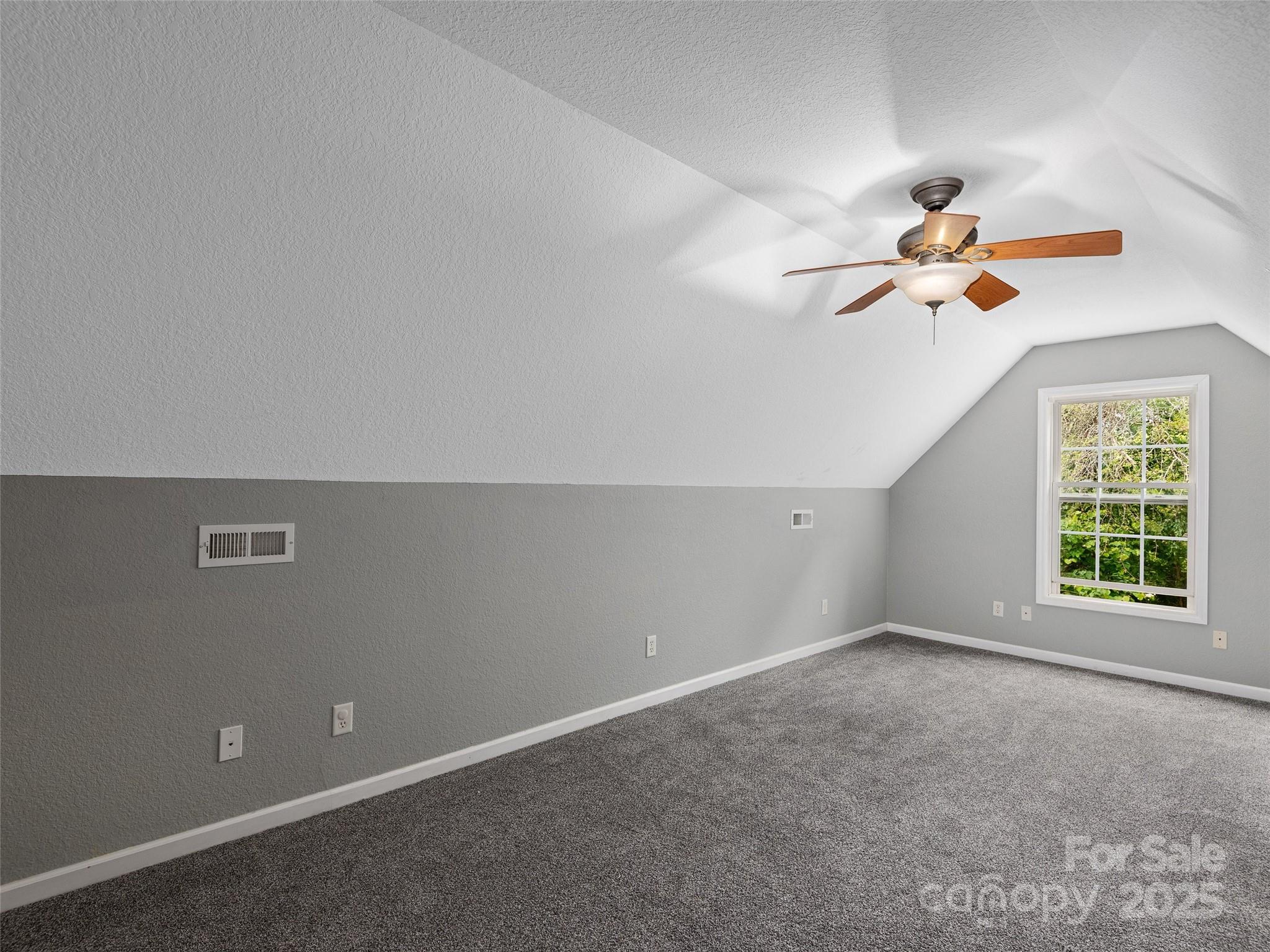 224 Old Haw Creek Road Property Photo 16