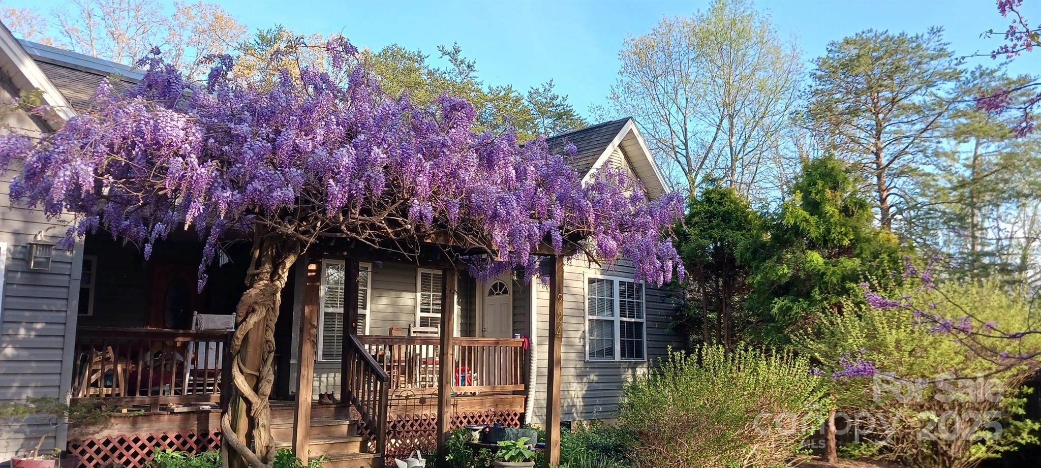 224 Old Haw Creek Road Property Photo 26