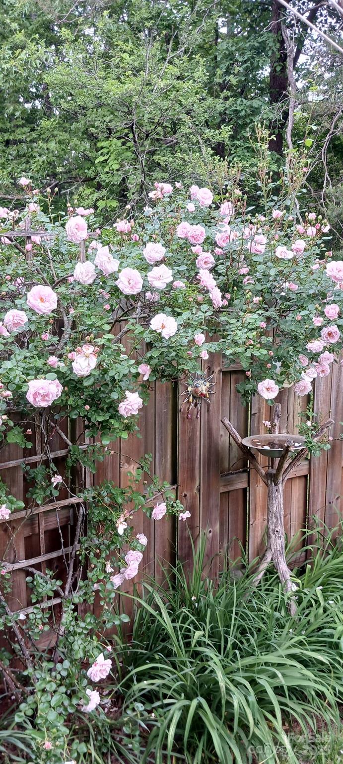 224 Old Haw Creek Road Property Photo 29