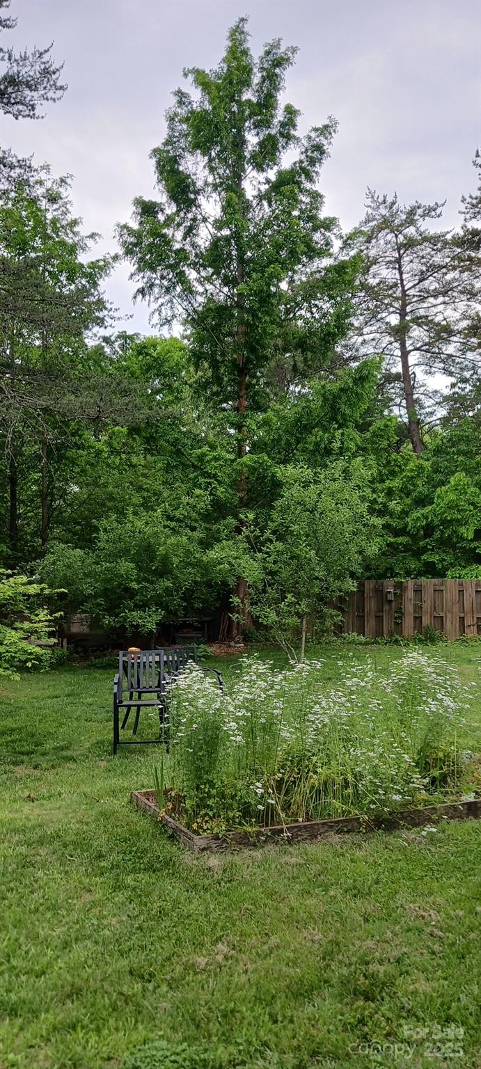 224 Old Haw Creek Road Property Photo 34