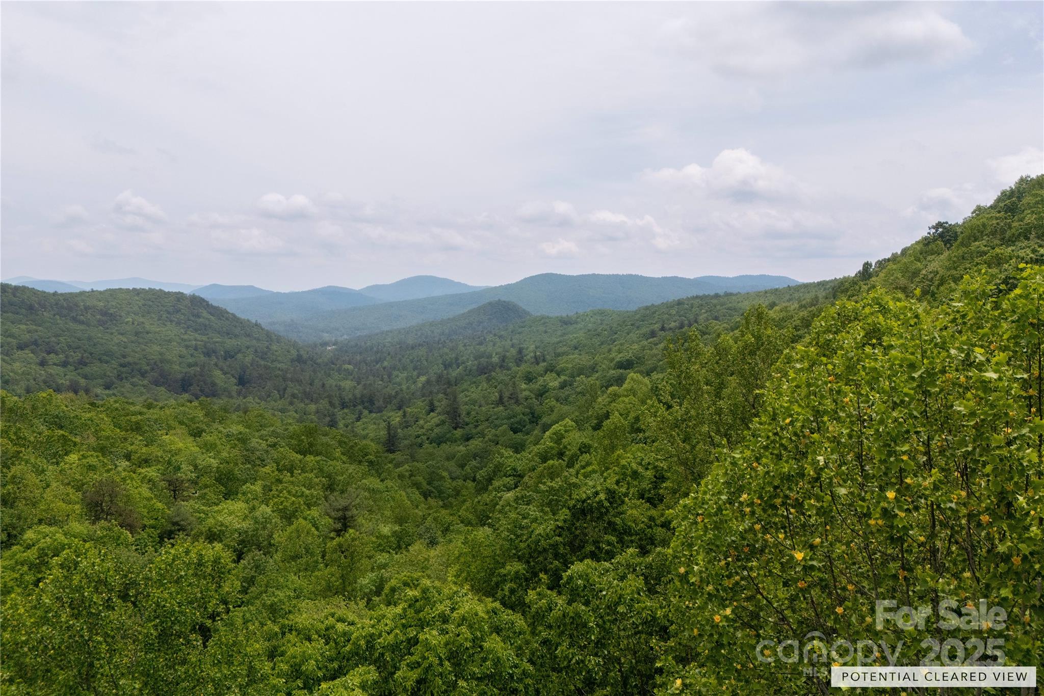 000 Boone Top None Property Photo 1