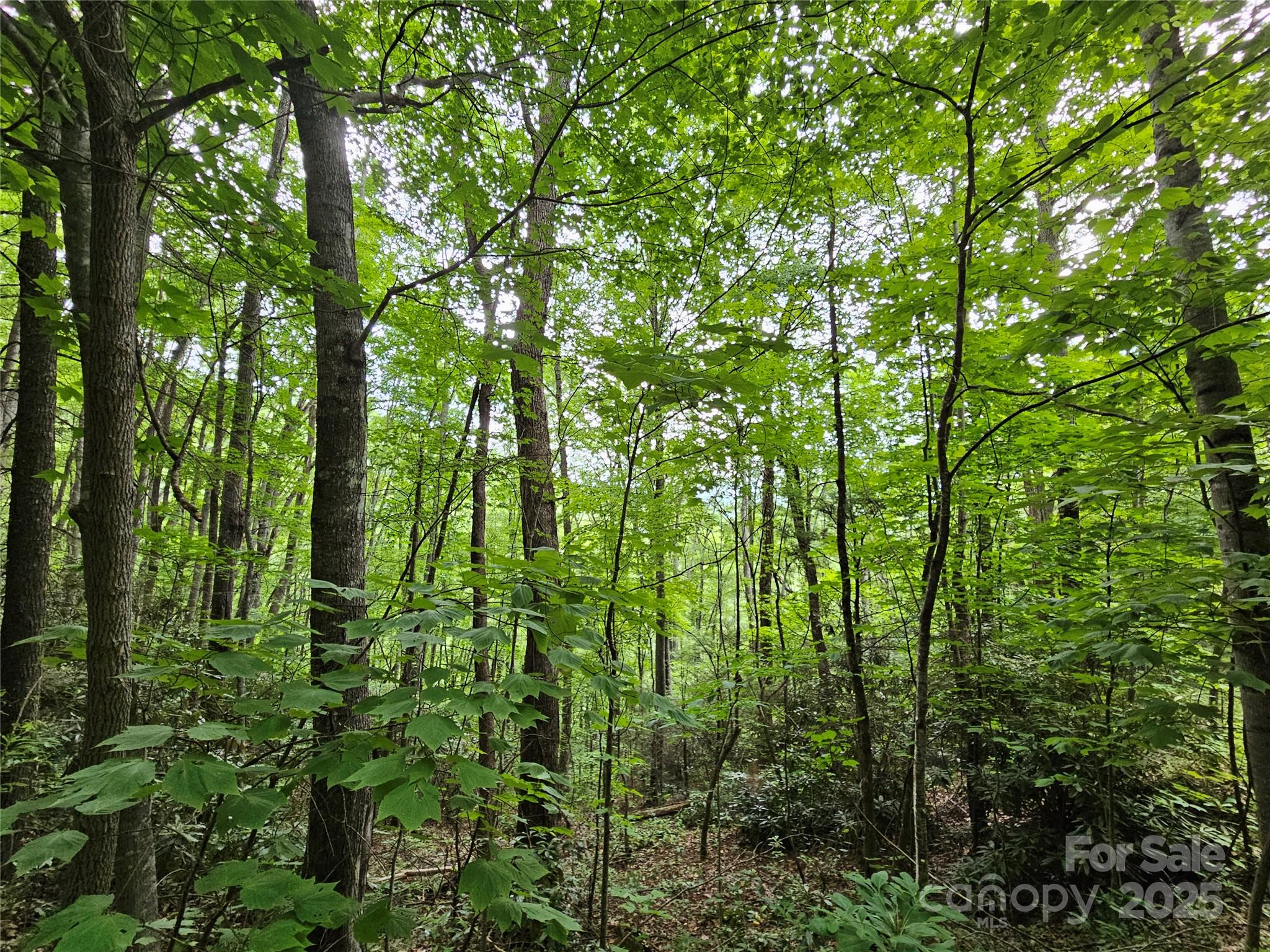 00 Autumn Drive 2 Property Photo 2