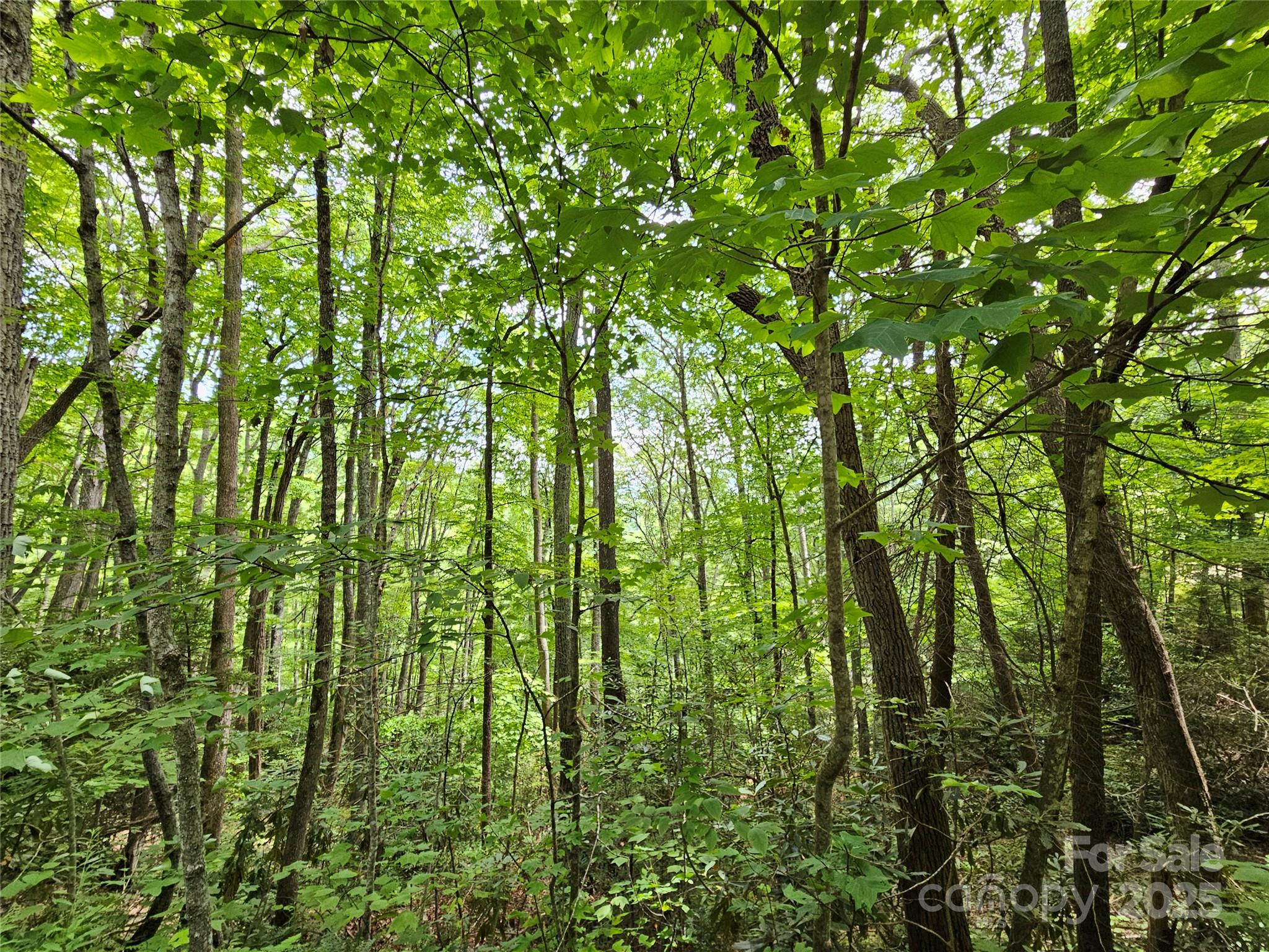 00 Autumn Drive 2 Property Photo 4