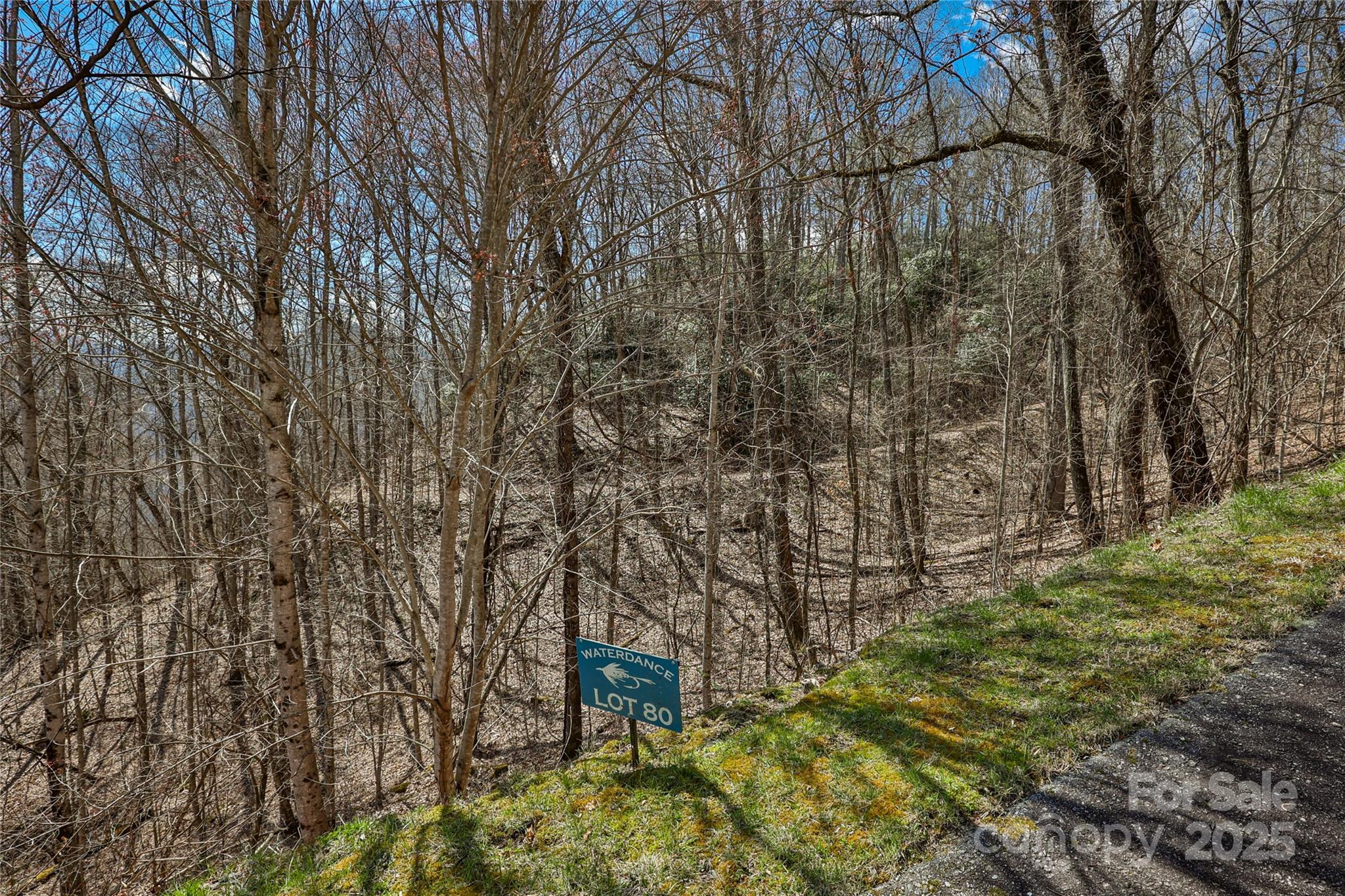 Lot 80 Waterdance Drive 80 Property Photo 2