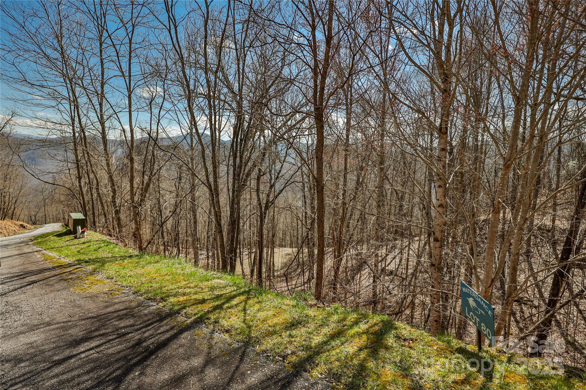 Lot 80 Waterdance Drive 80 Property Photo 3