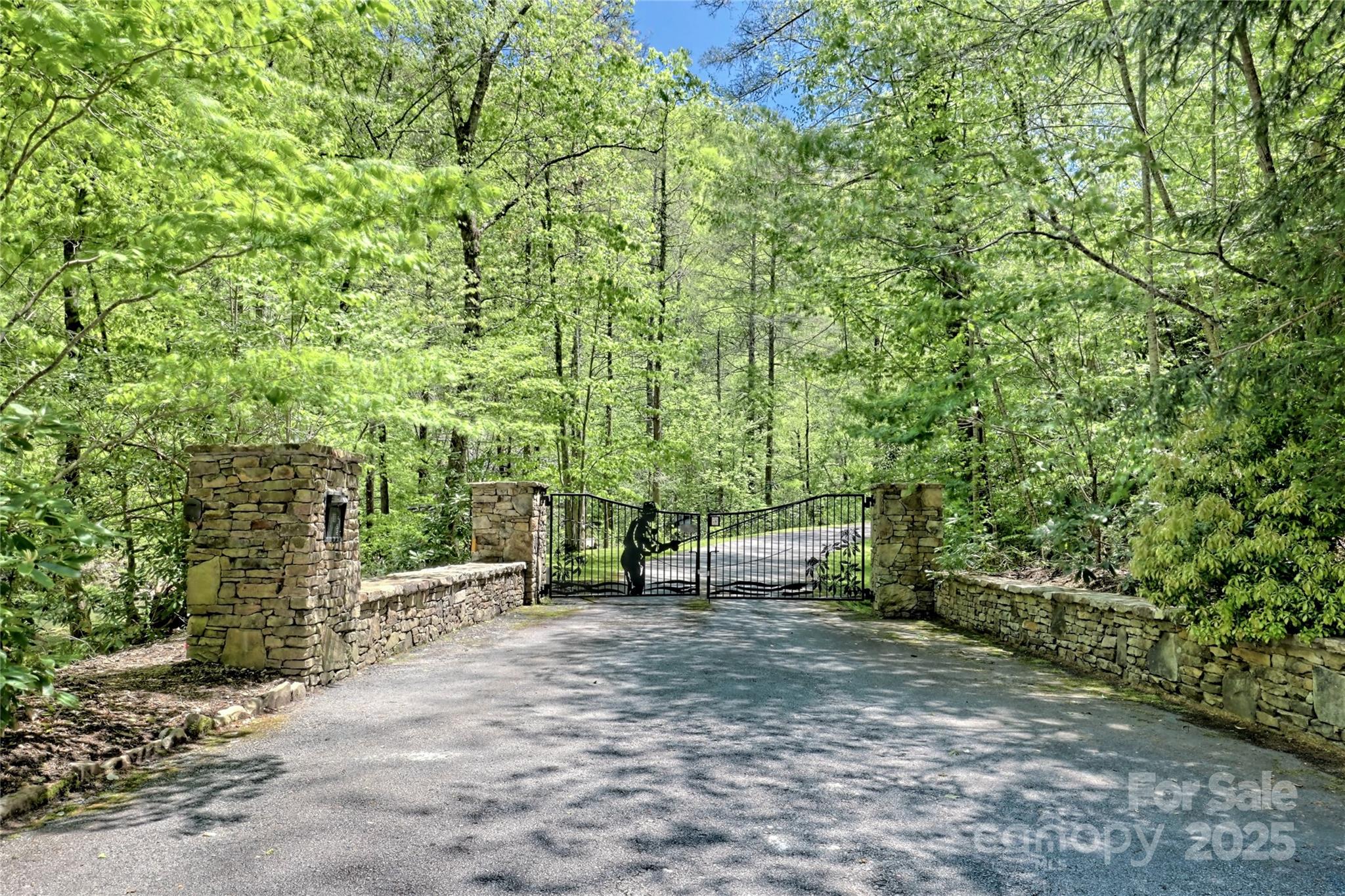 Lot 80 Waterdance Drive 80 Property Photo 7
