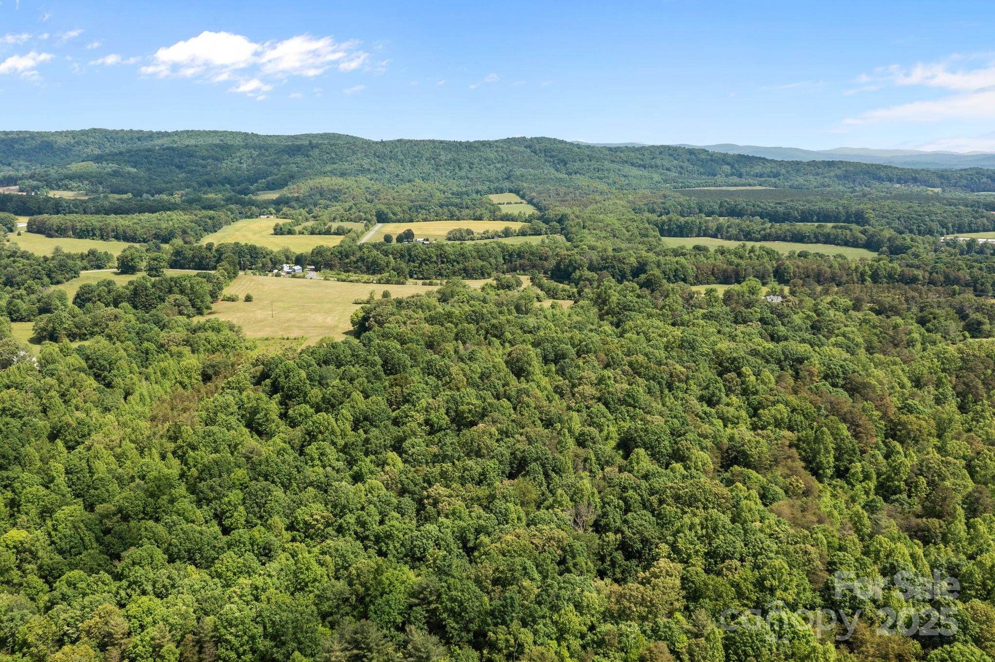 437 Linneys Mill Road Property Photo 11