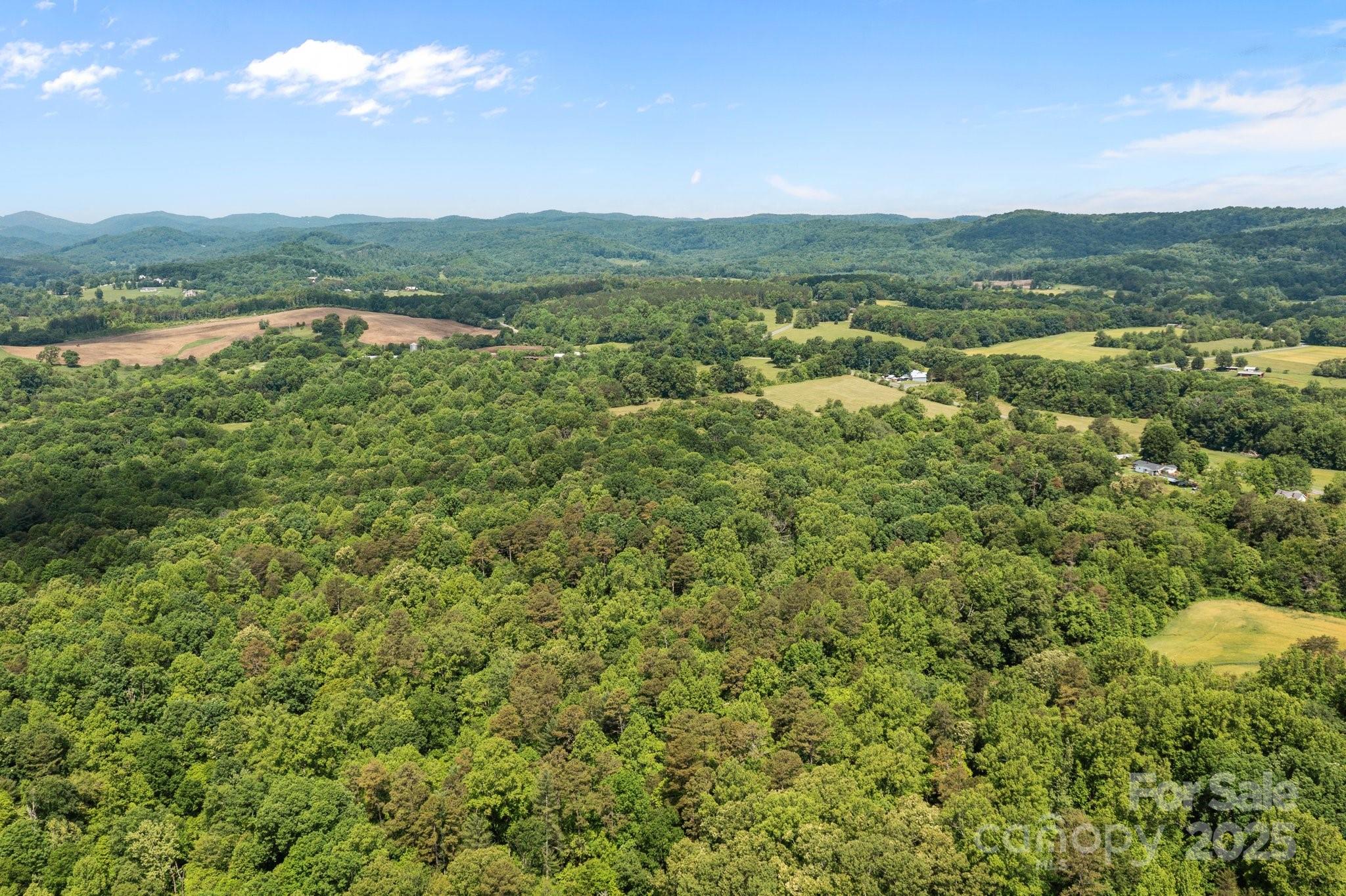 437 Linneys Mill Road Property Photo 16