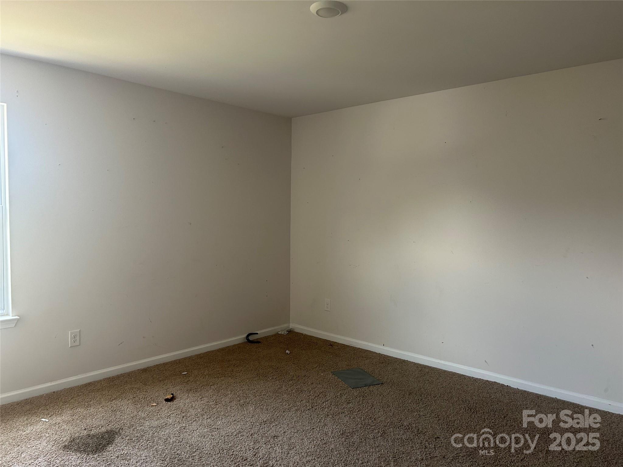 419 Burdock Lane Property Photo 13