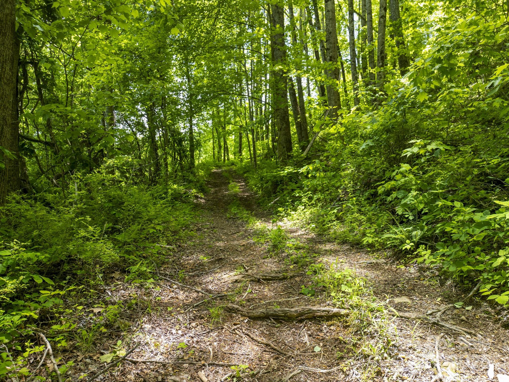 00 Cold Creek Road Property Photo 2
