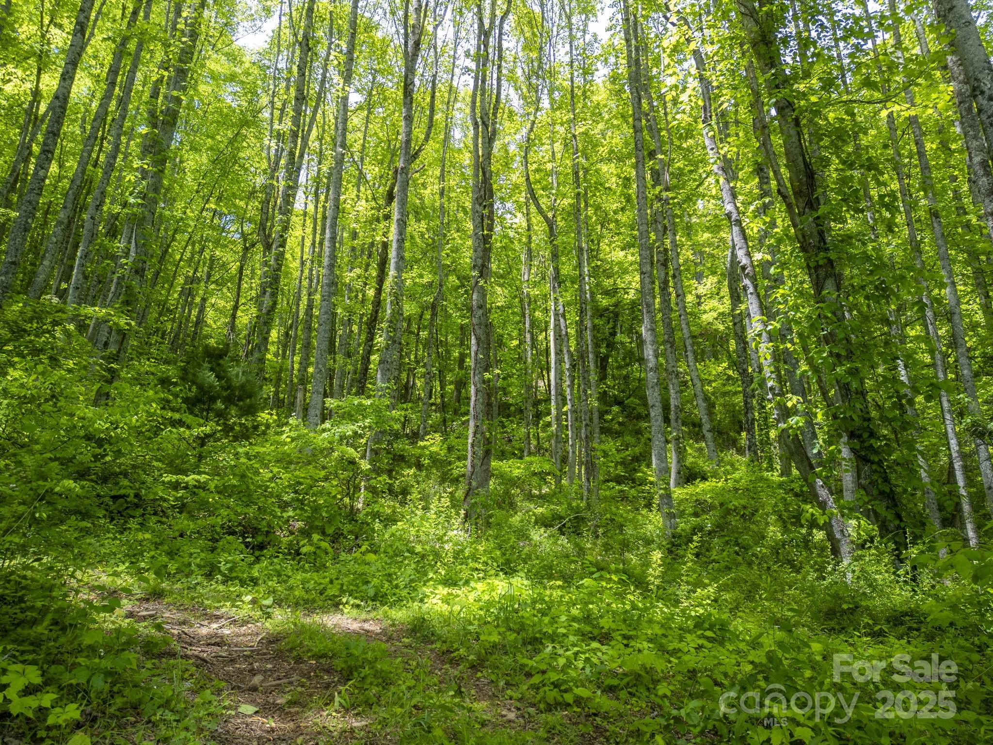 00 Cold Creek Road Property Photo 3