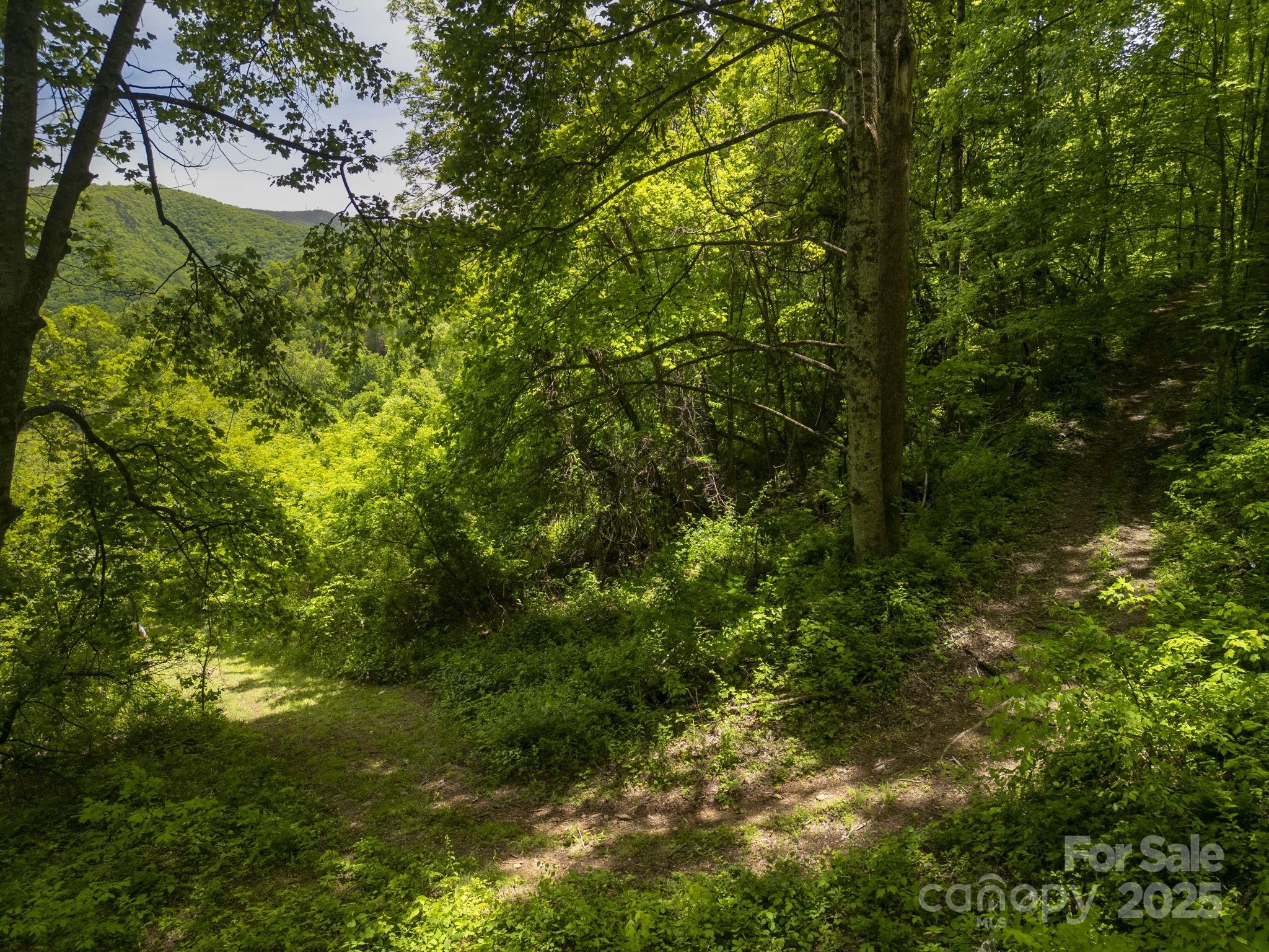 00 Cold Creek Road Property Photo 4