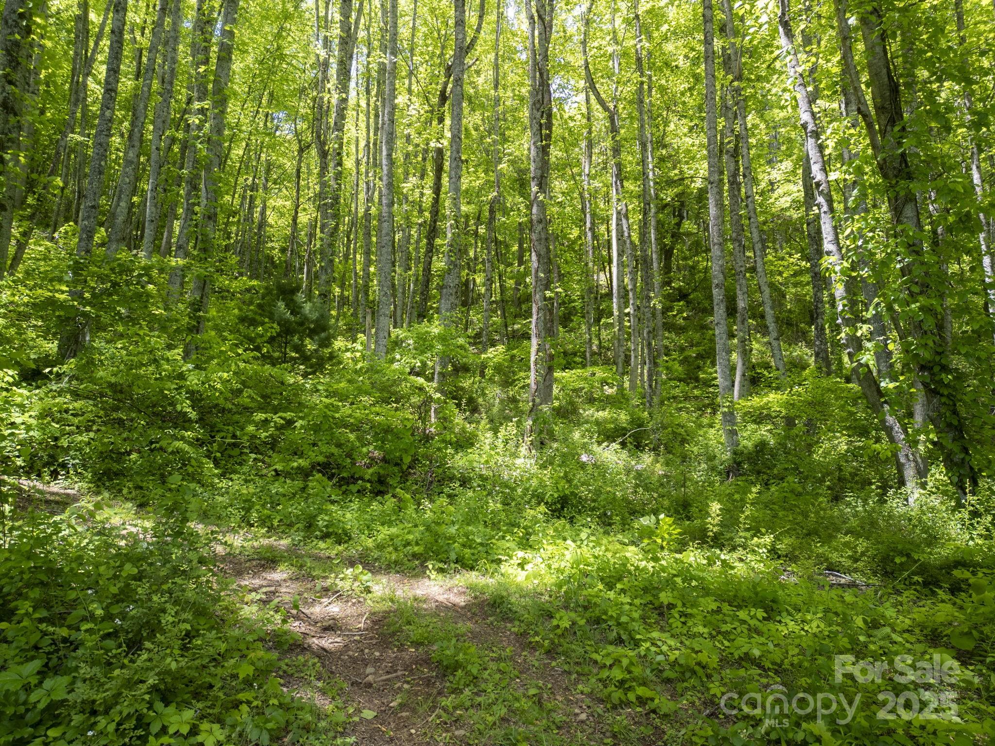00 Cold Creek Road Property Photo 5