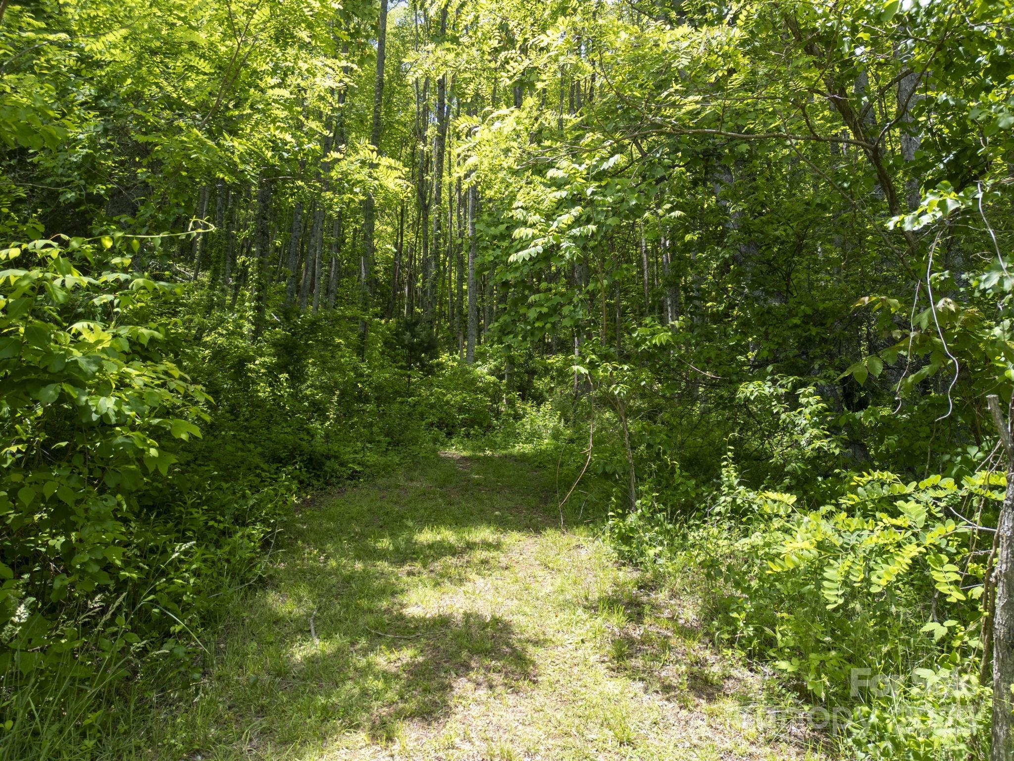 00 Cold Creek Road Property Photo 6