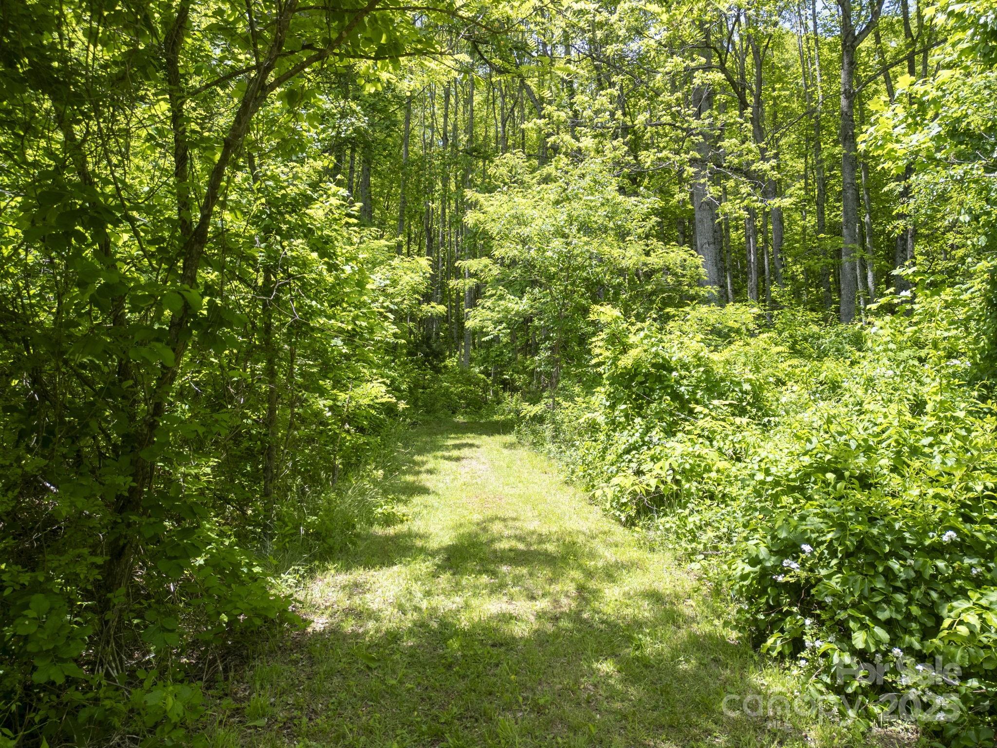 00 Cold Creek Road Property Photo 7