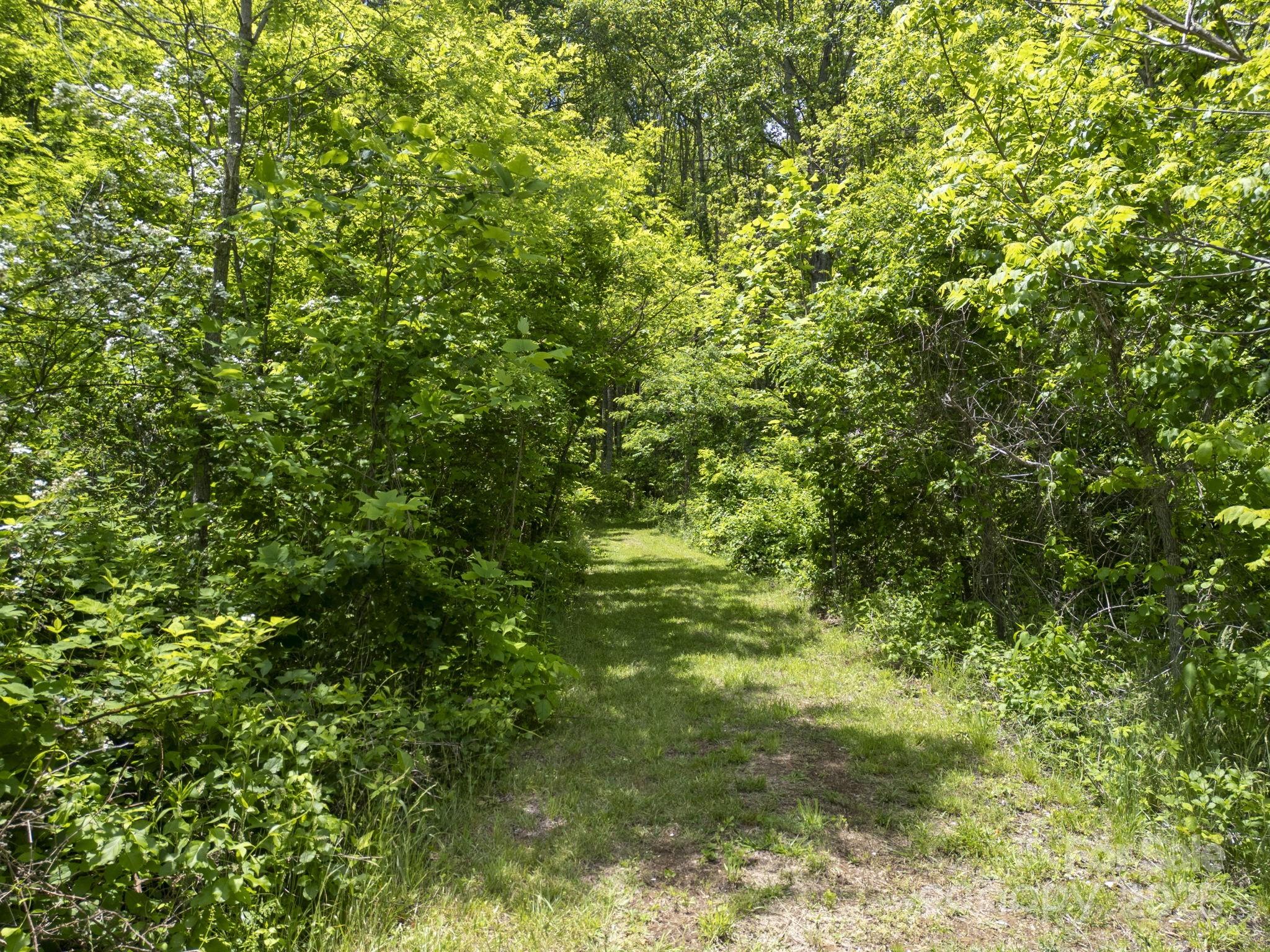 00 Cold Creek Road Property Photo 8