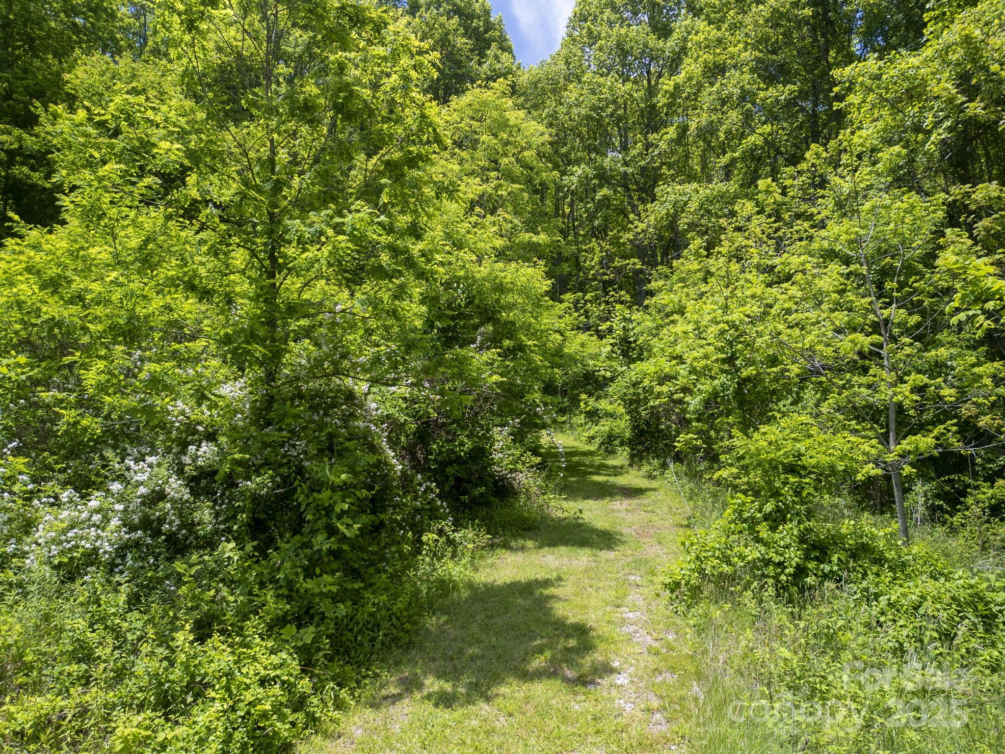 00 Cold Creek Road Property Photo 9
