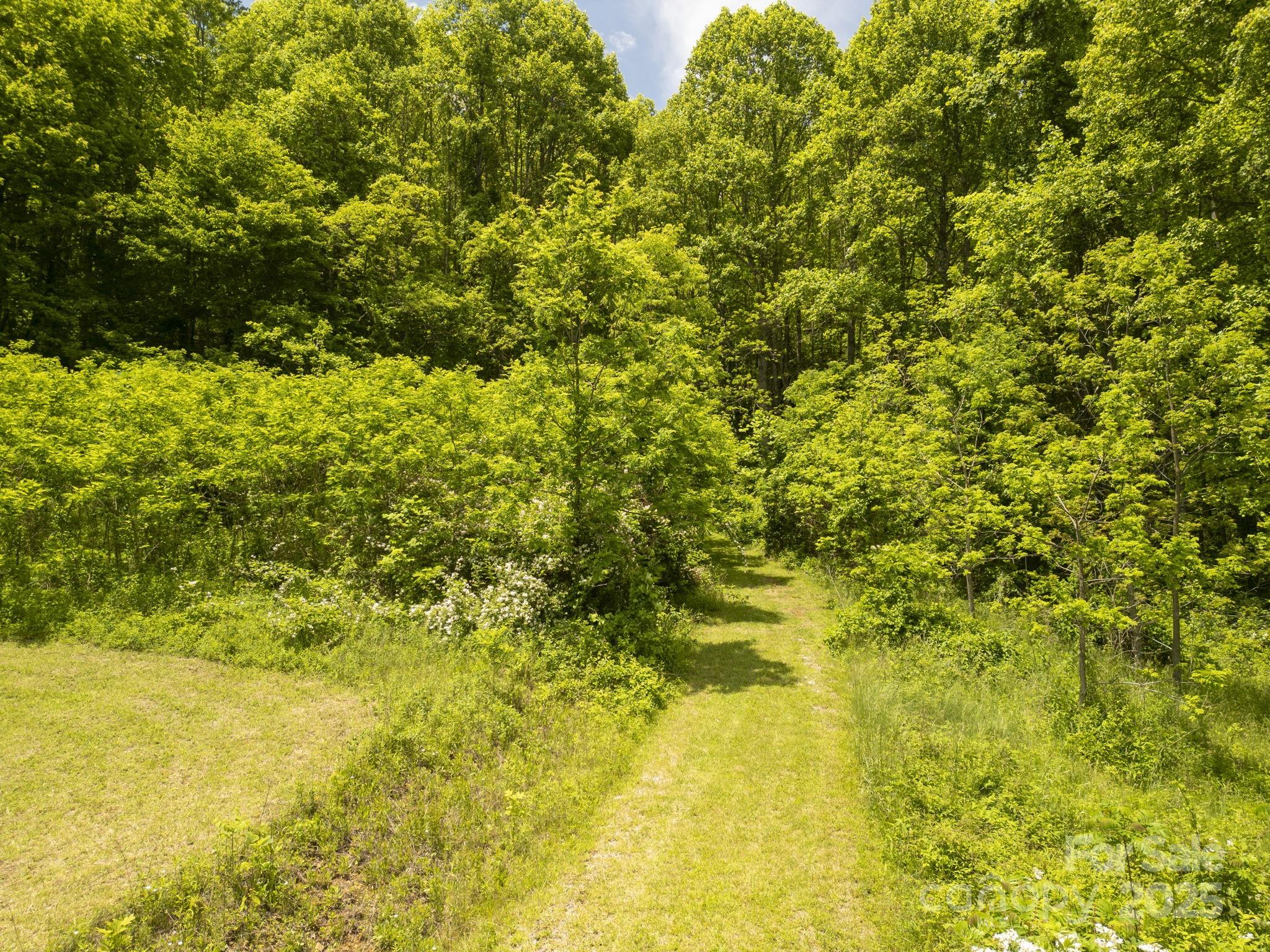 00 Cold Creek Road Property Photo 10