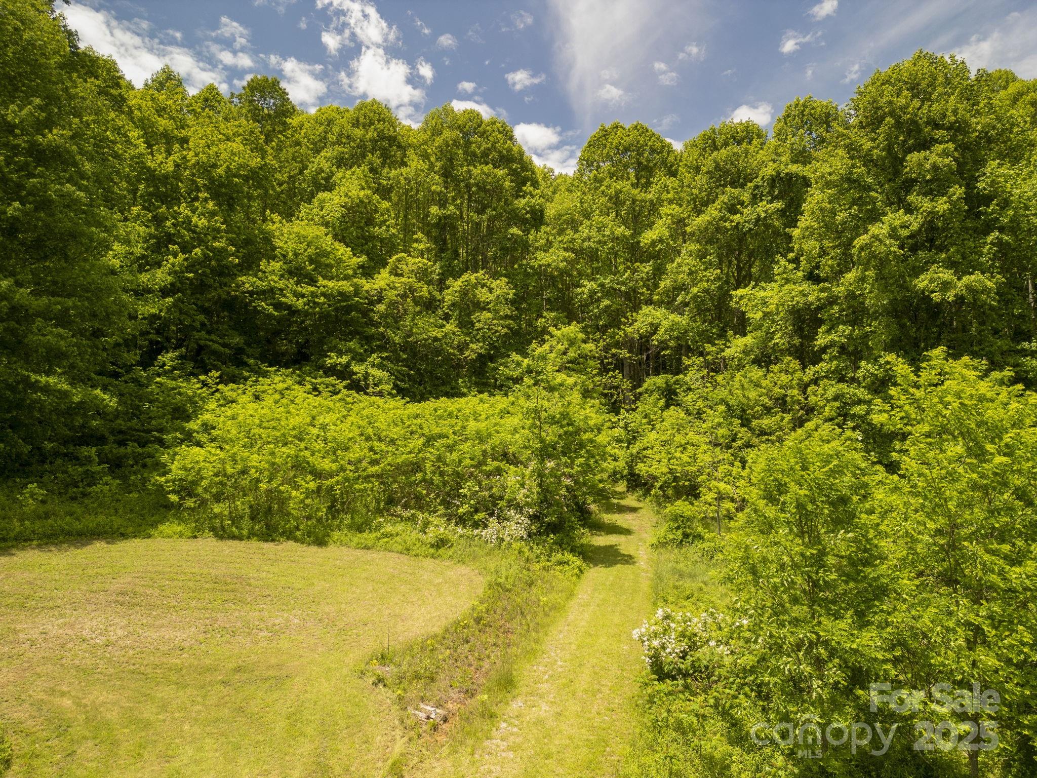 00 Cold Creek Road Property Photo 11