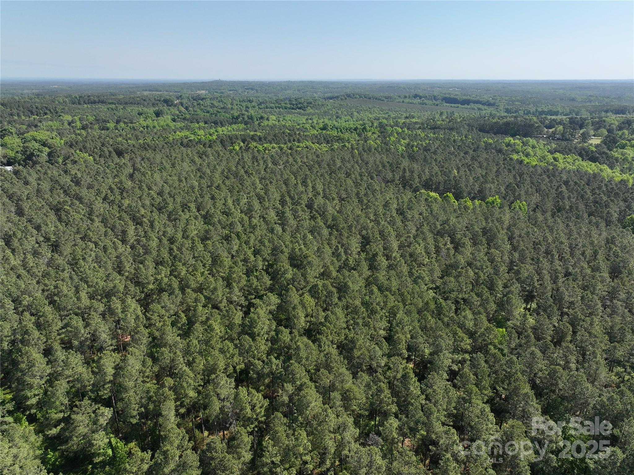 4815 Nc 109 Highway Property Photo 1