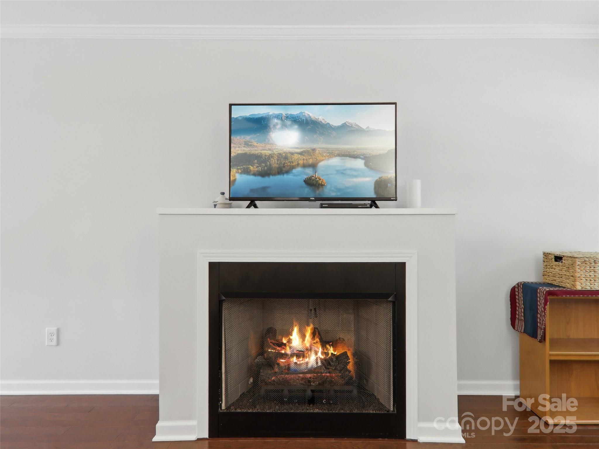 198 Alpine Ridge Drive Property Photo 12