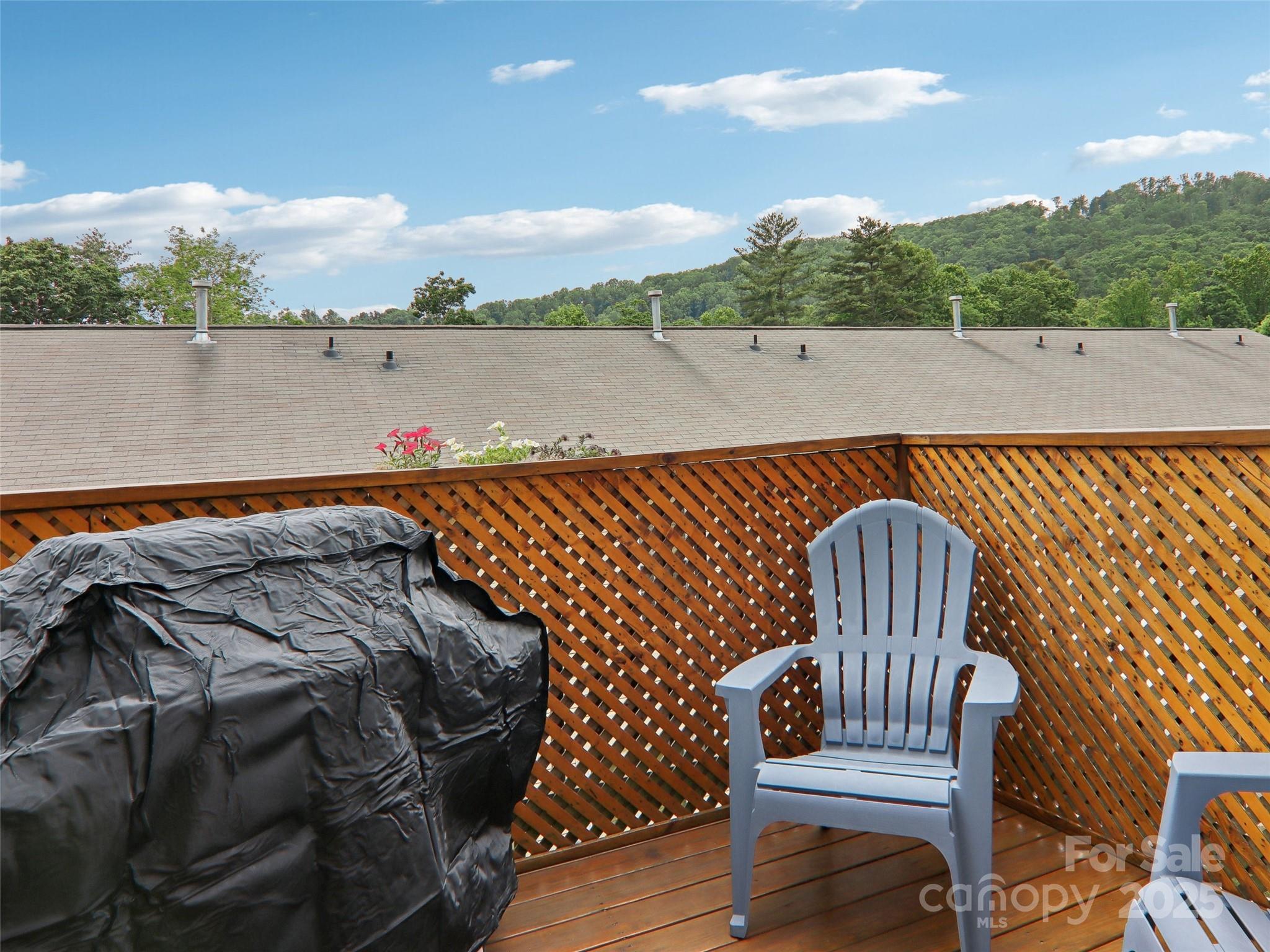 198 Alpine Ridge Drive Property Photo 38