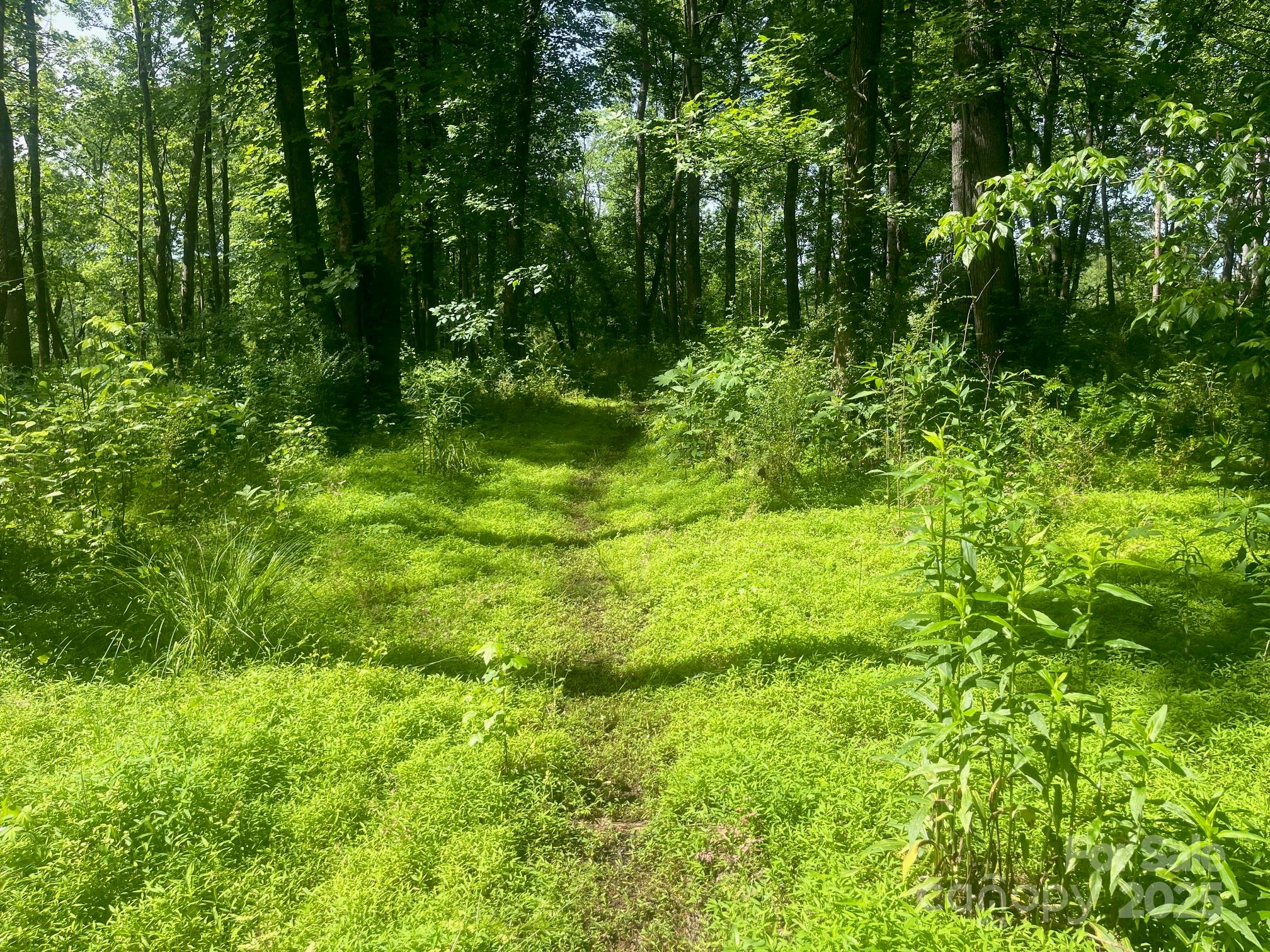 Lot 149 Lookout Dam Road Property Photo 2