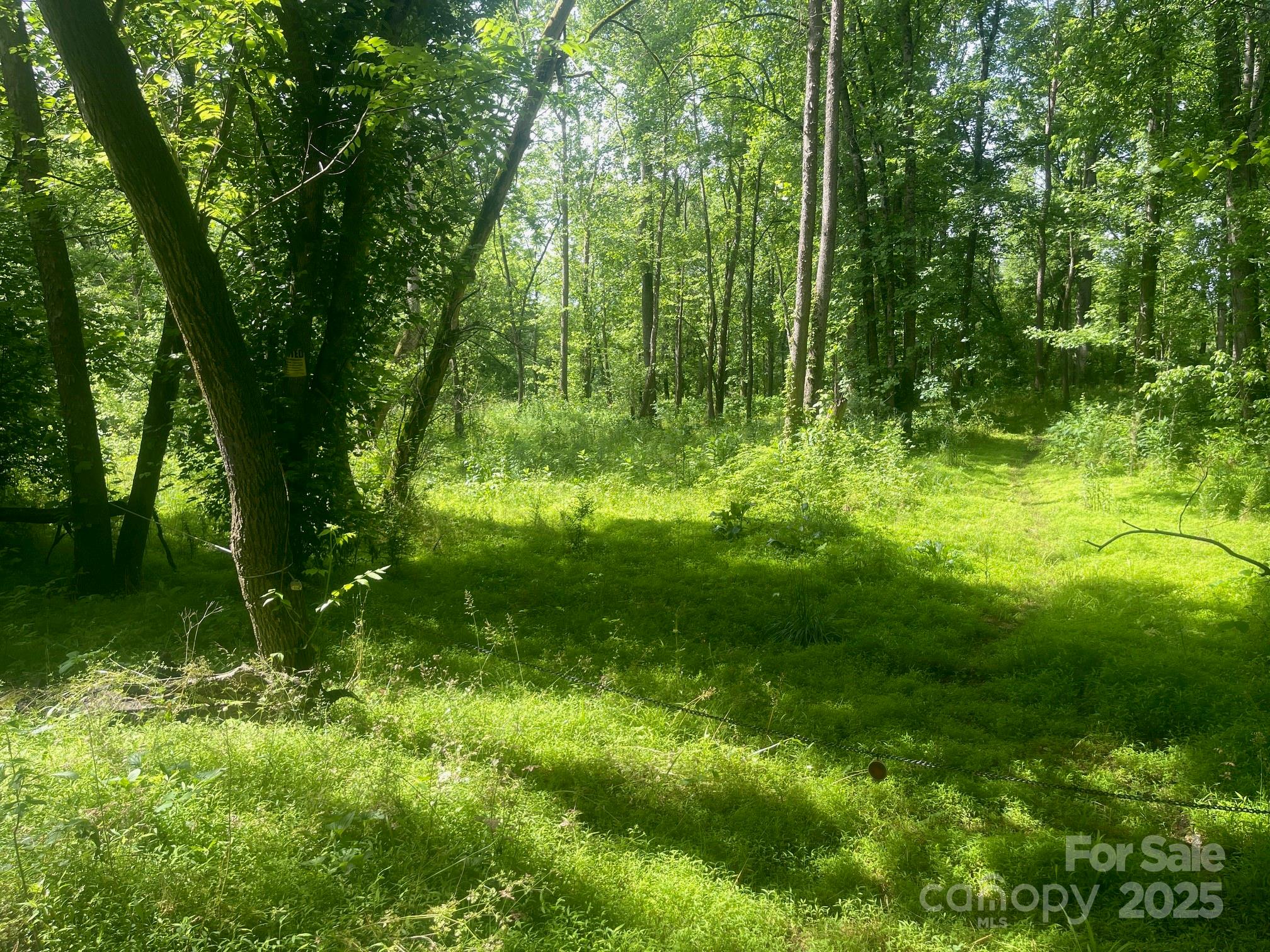 Lot 149 Lookout Dam Road Property Photo 3