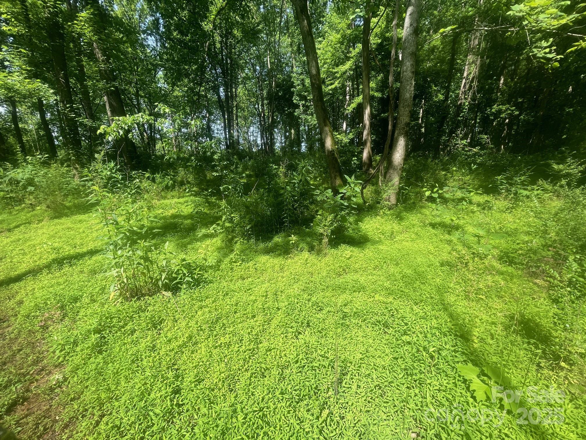 Lot 149 Lookout Dam Road Property Photo 4