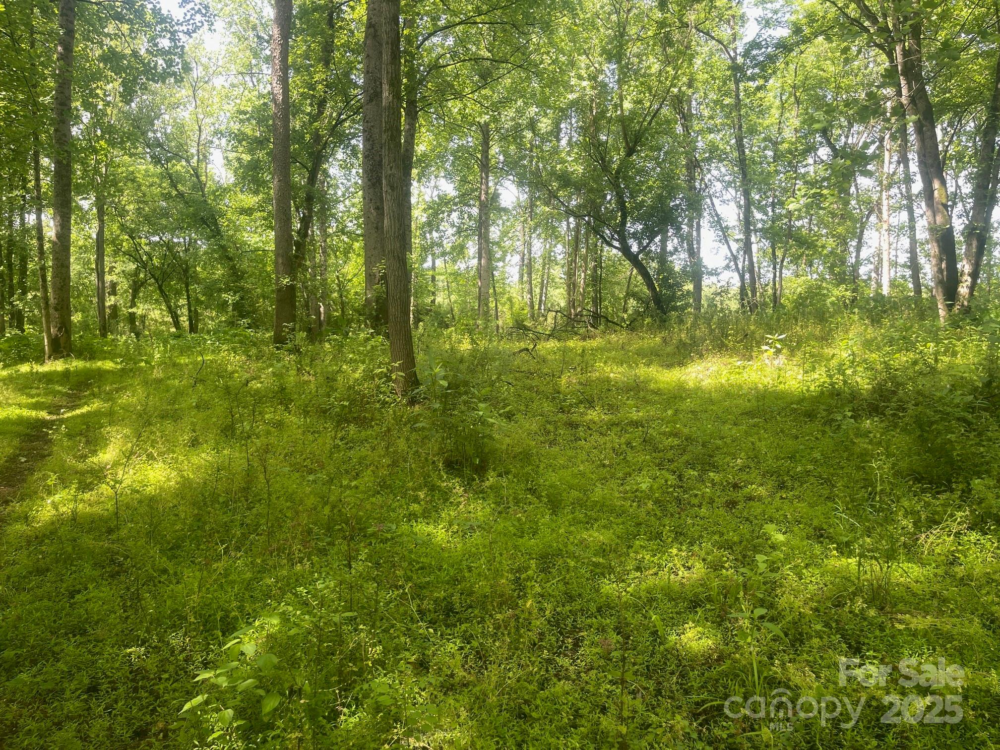Lot 149 Lookout Dam Road Property Photo 5