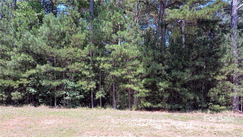 224 Riverwalk Drive Property Photo 1