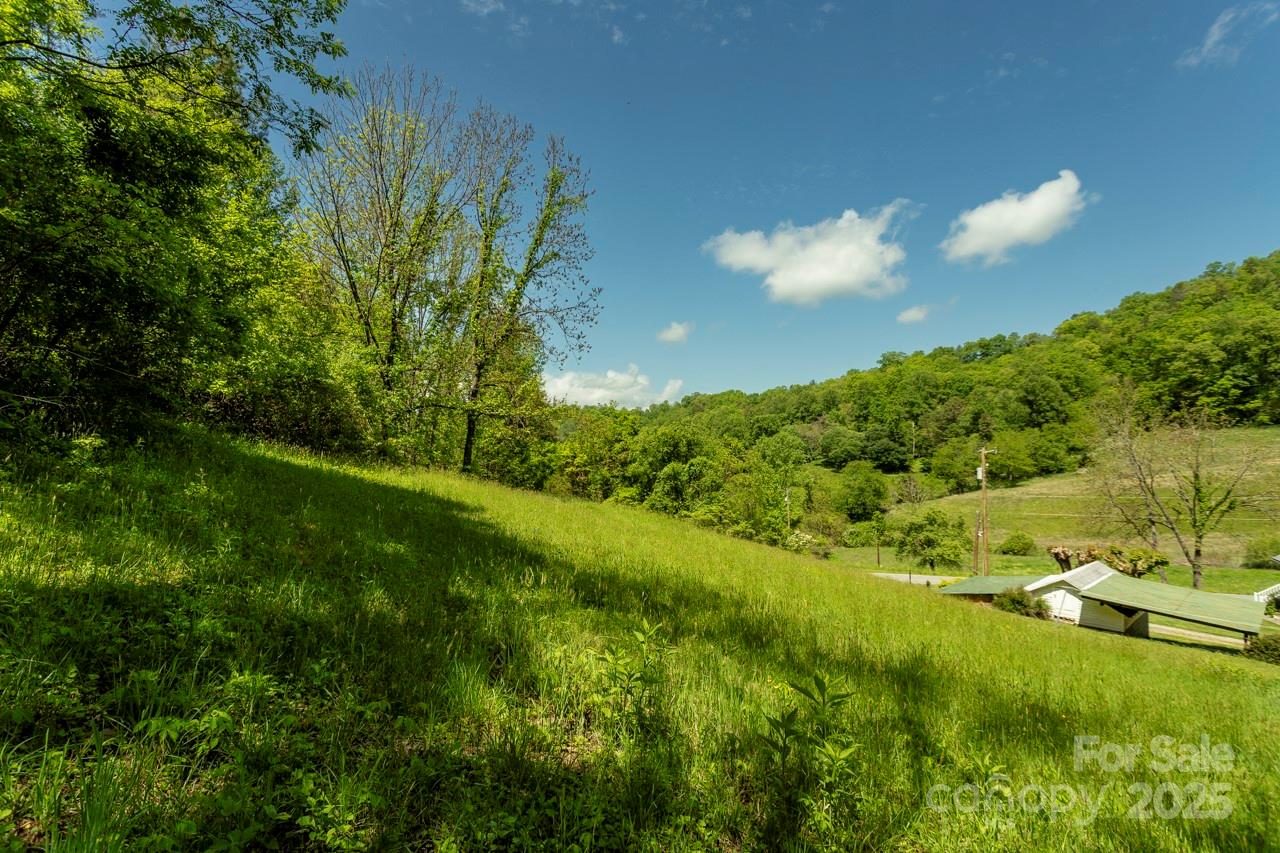 Off Of Locust Creek Road Property Photo 1