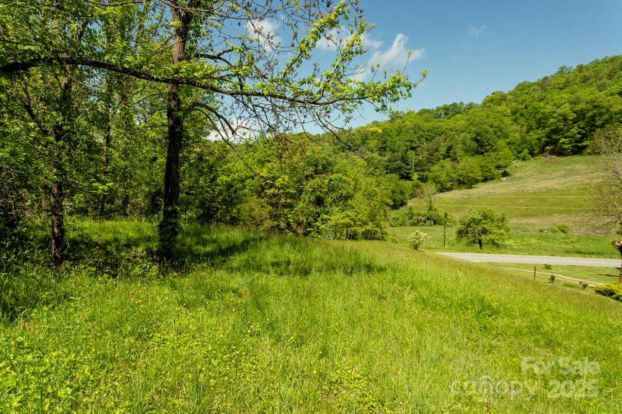 Off Of Locust Creek Road Property Photo 4