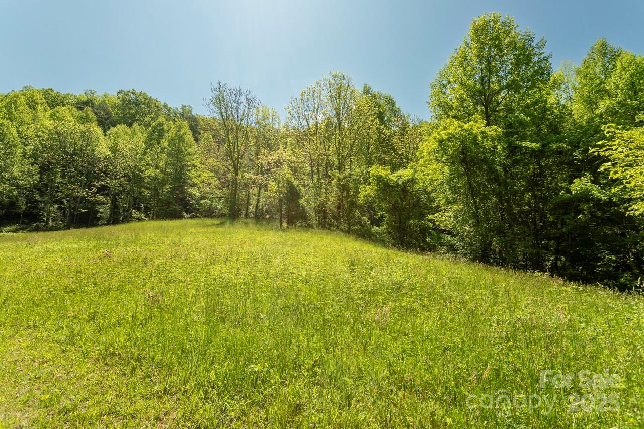 Off Of Locust Creek Road Property Photo 7