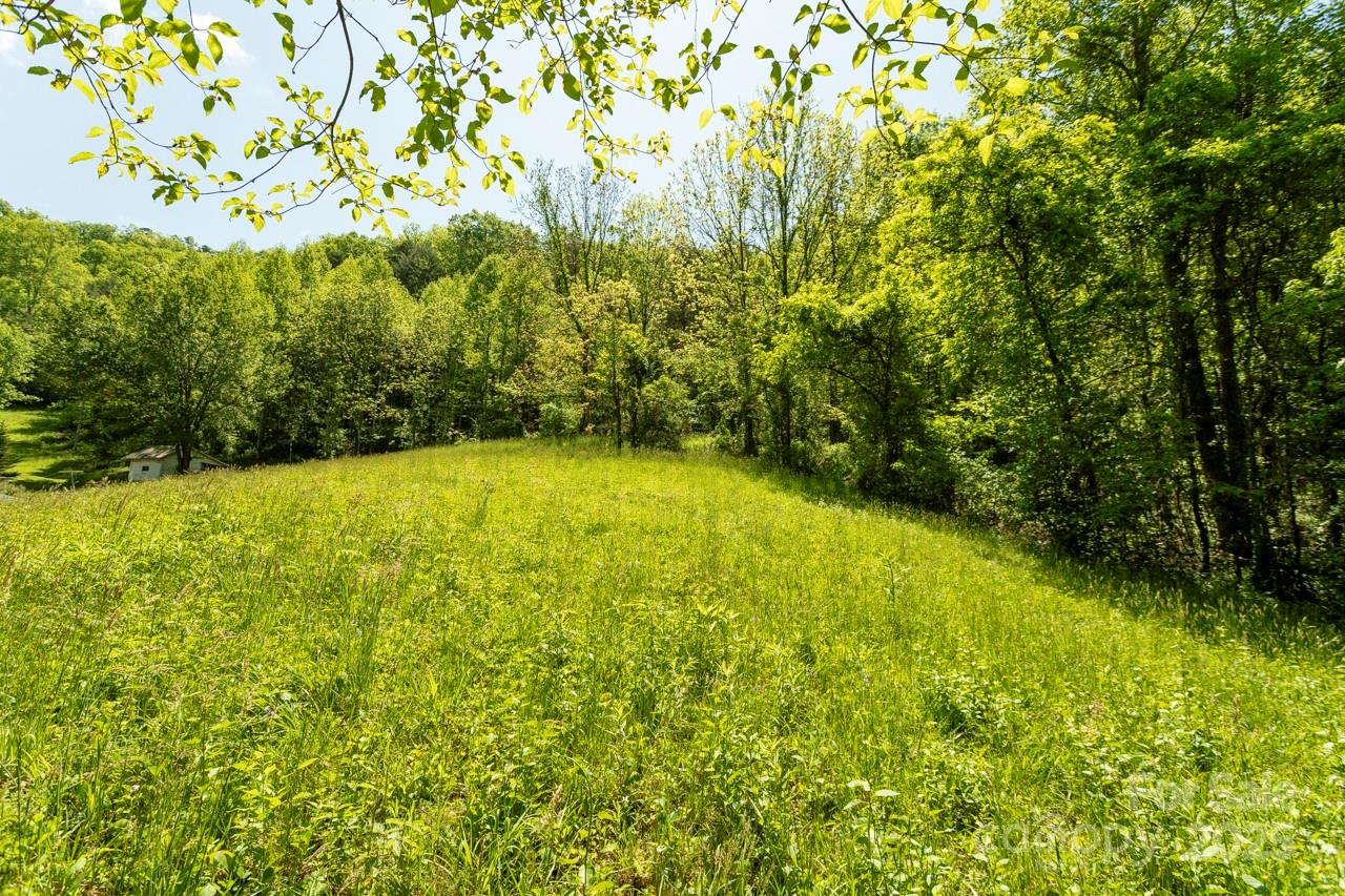 Off Of Locust Creek Road Property Photo 8