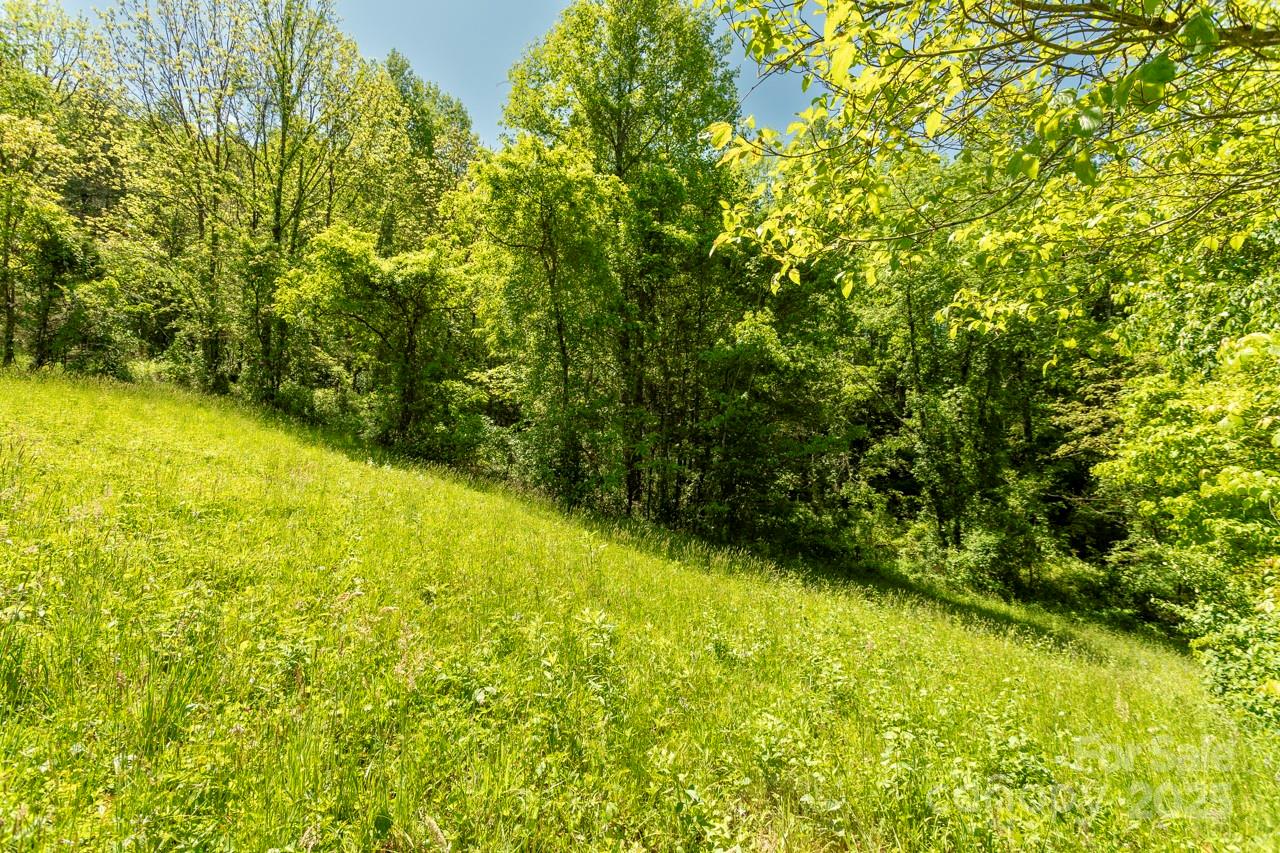 Off Of Locust Creek Road Property Photo 9